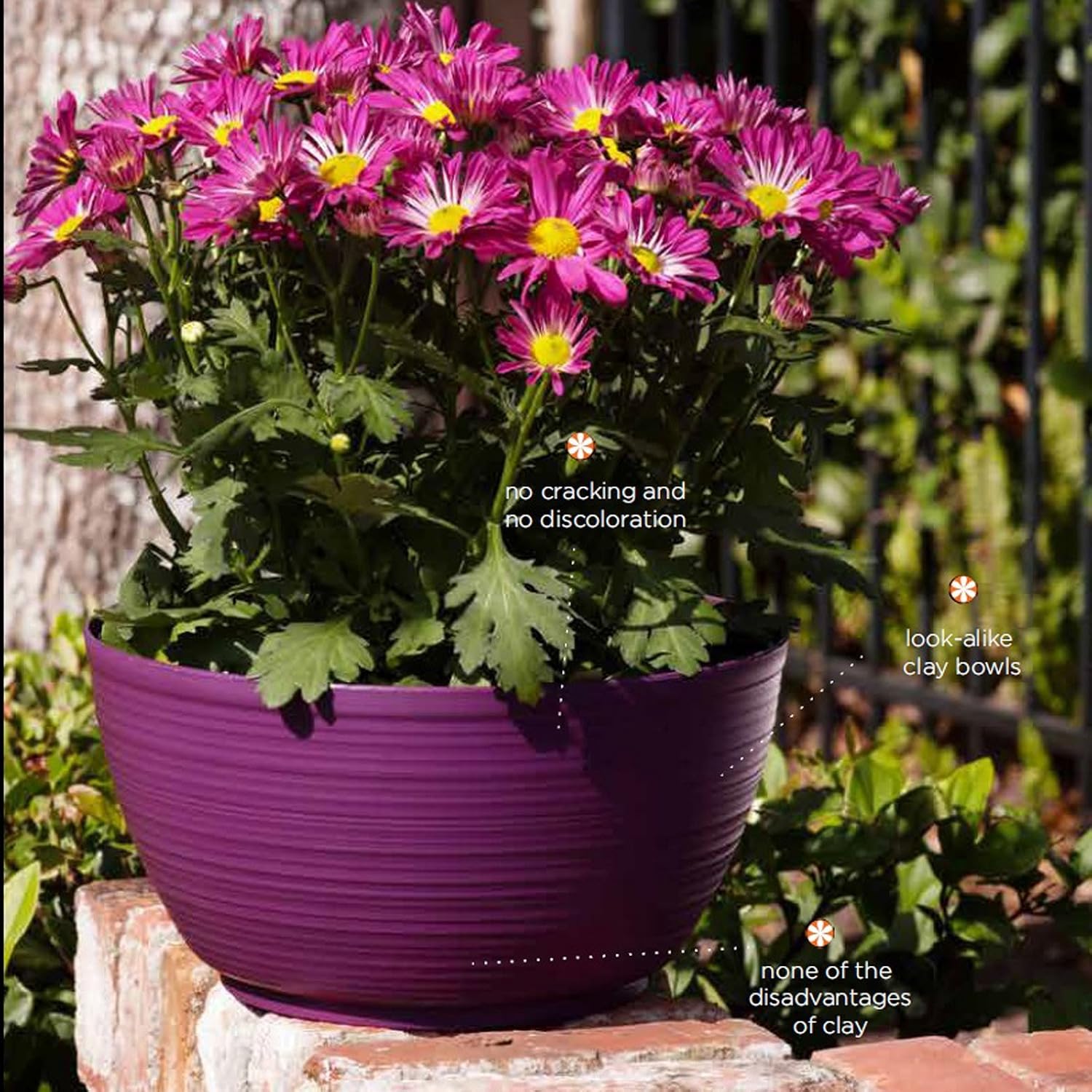Bloem Willow 12" Plastic Plant Bowl, Deep Round Garden Pot, Peppercorn | Sealed plant bowl with knockout drainage, perfect for displaying herbs and succulents on indoor and outdoor surfaces.