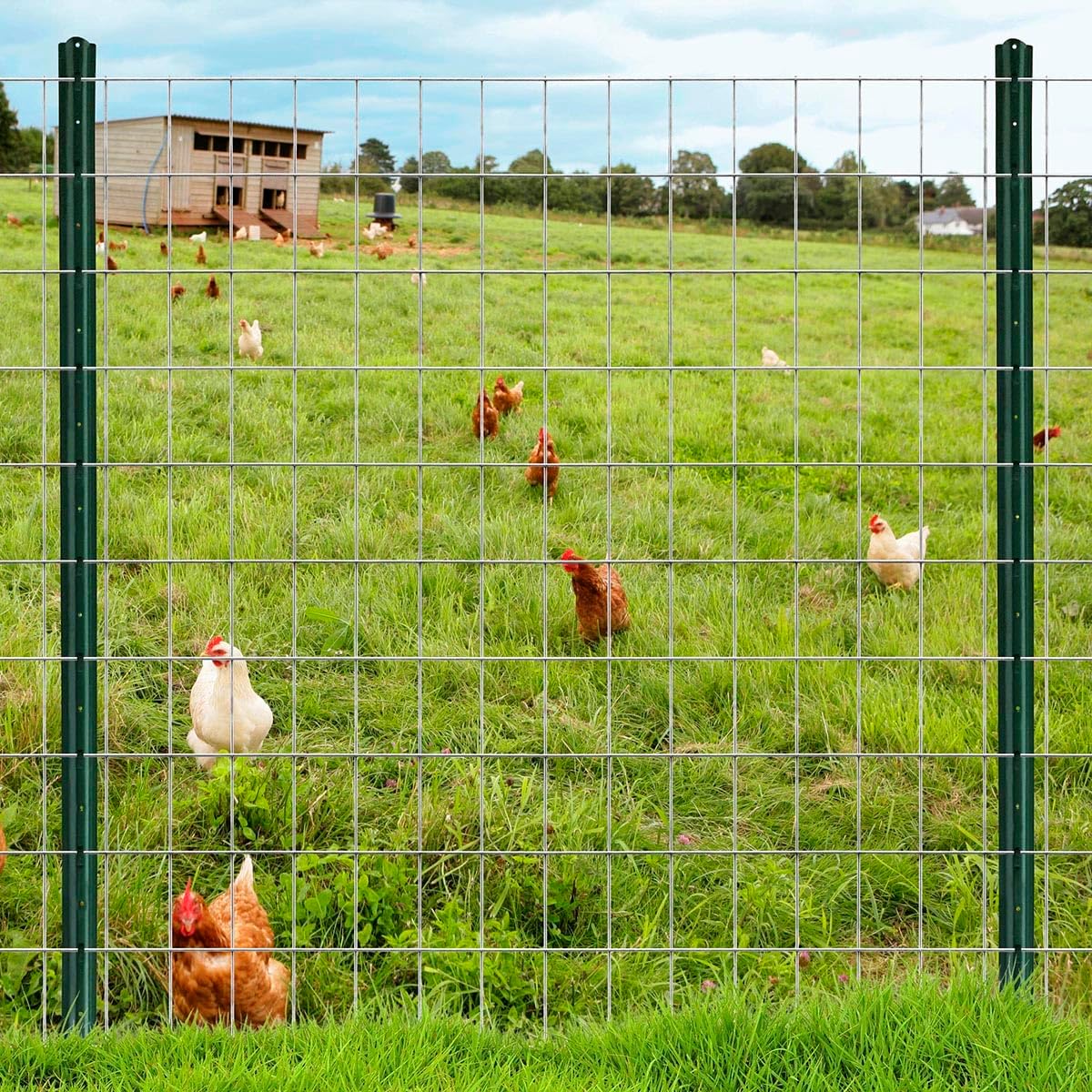 16GA Galvanized 48in x 50ft-3in x 2in Welded Wire Mesh Garden Economy Fence