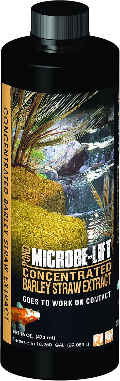 Microbe-Lift Concentrated Barley Straw Extract Conditioner for Ponds – 1 Gallon – Safe for Koi Fish, Plants & Decorations – Natural Pond Conditioner, Cost-Efficient & Organic Solution