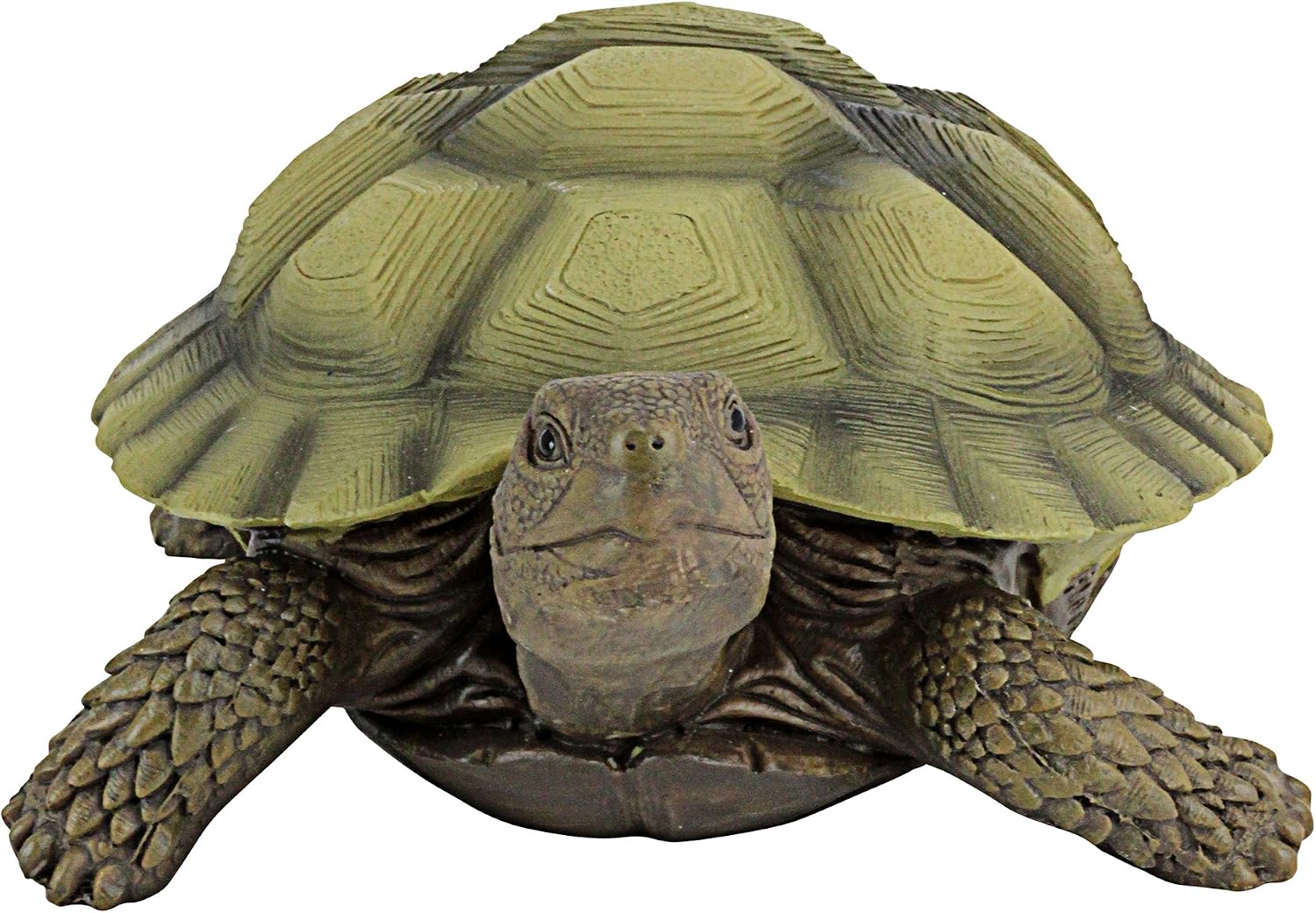 Design Toscano QM1887611 Gilbert the Box Turtle Garden Decor Animal Statue, 9 Inch, Full Color