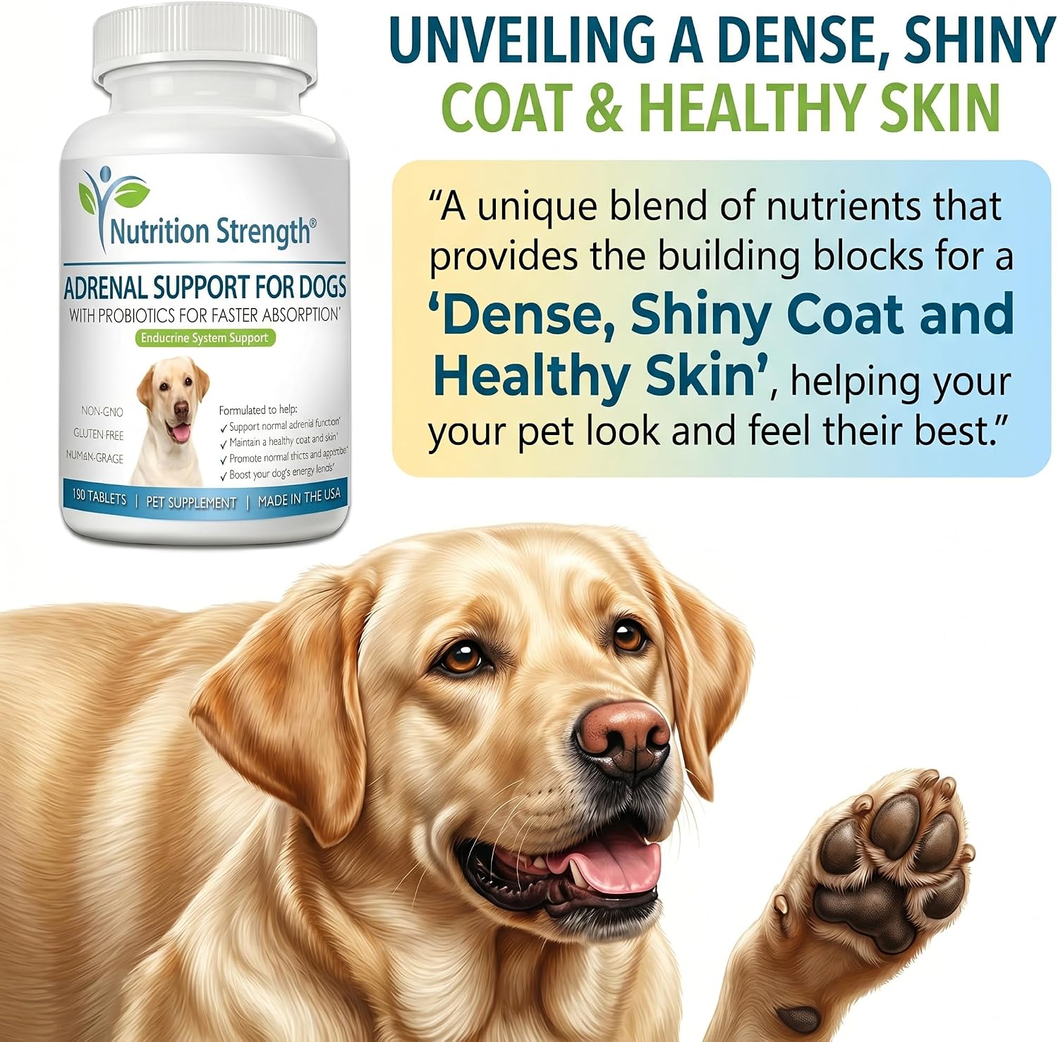 Adrenal Support for Dogs with Cushing's Disease | Maintain a Healthy Coat and Skin | Promote Normal Urination