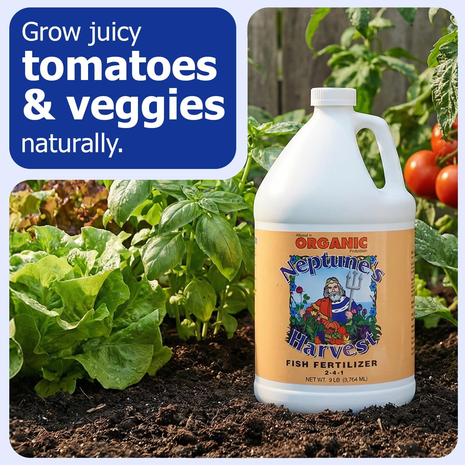 Neptune's Harvest Fish Fertilizer (2-4-1) - Organic Liquid Plant Fertilizer - Fish Hydrolysate for Vegetables, Flowers, Fruit, Trees, Grass - Indoor and Outdoor Plant Food (Gallon)