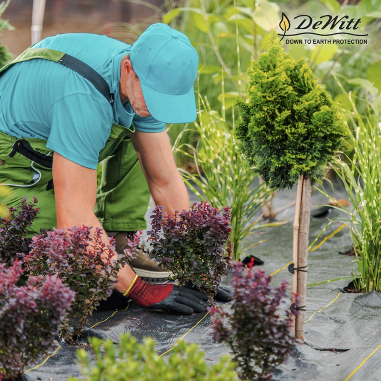 Dewitt Sunbelt Weed Barrier Fabric, 3.2 oz, 3 x 300 Feet – Heavy-Duty Ground Cover Mat for Greenhouse Floors, Garden Rows, Raised Beds, Grass and Yard Gardening, and Outdoor Landscape Protection | Ground Cover Mat for Greenhouse Floors, Garden Rows, Rais…