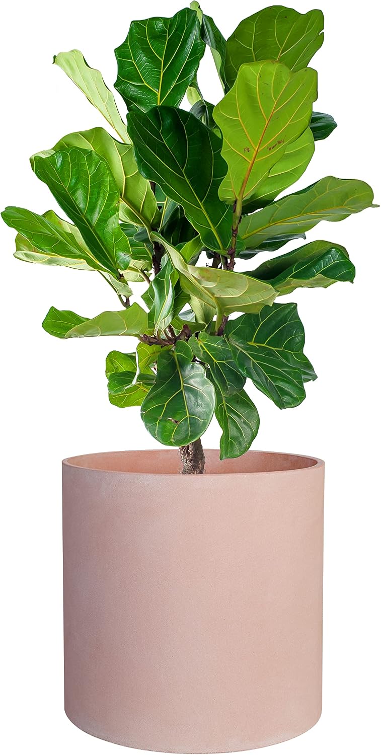 FaithLand 14 Inch Fiberstone Planter - Lightweight Modern Cylinder Plant Pot with Drainage Hole & Plug, Indoor Outdoor Use, Matte White