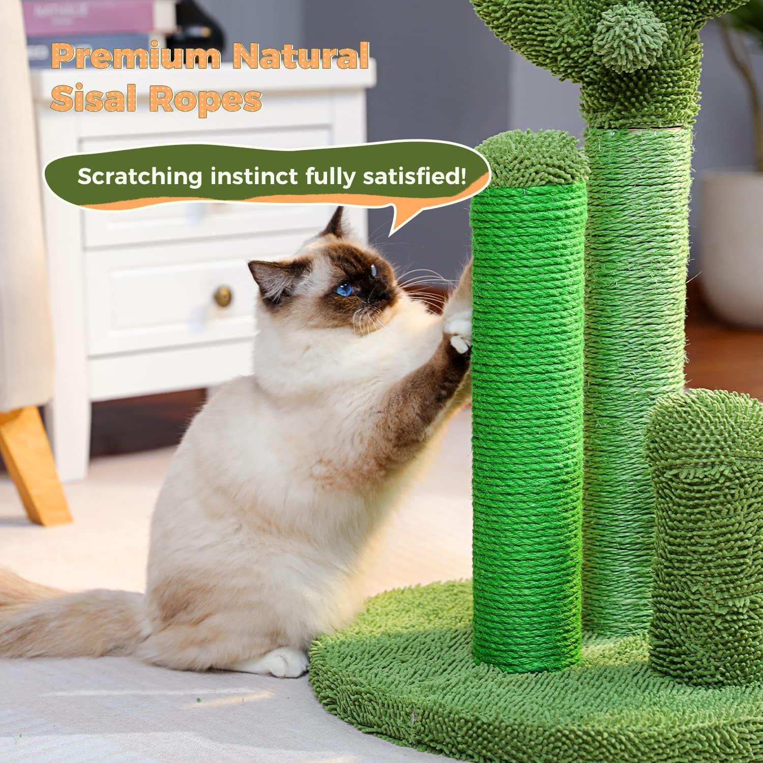 PAWZ Road Cactus Cat Scratching Post 23”Cat Scratcher with Toy Ball