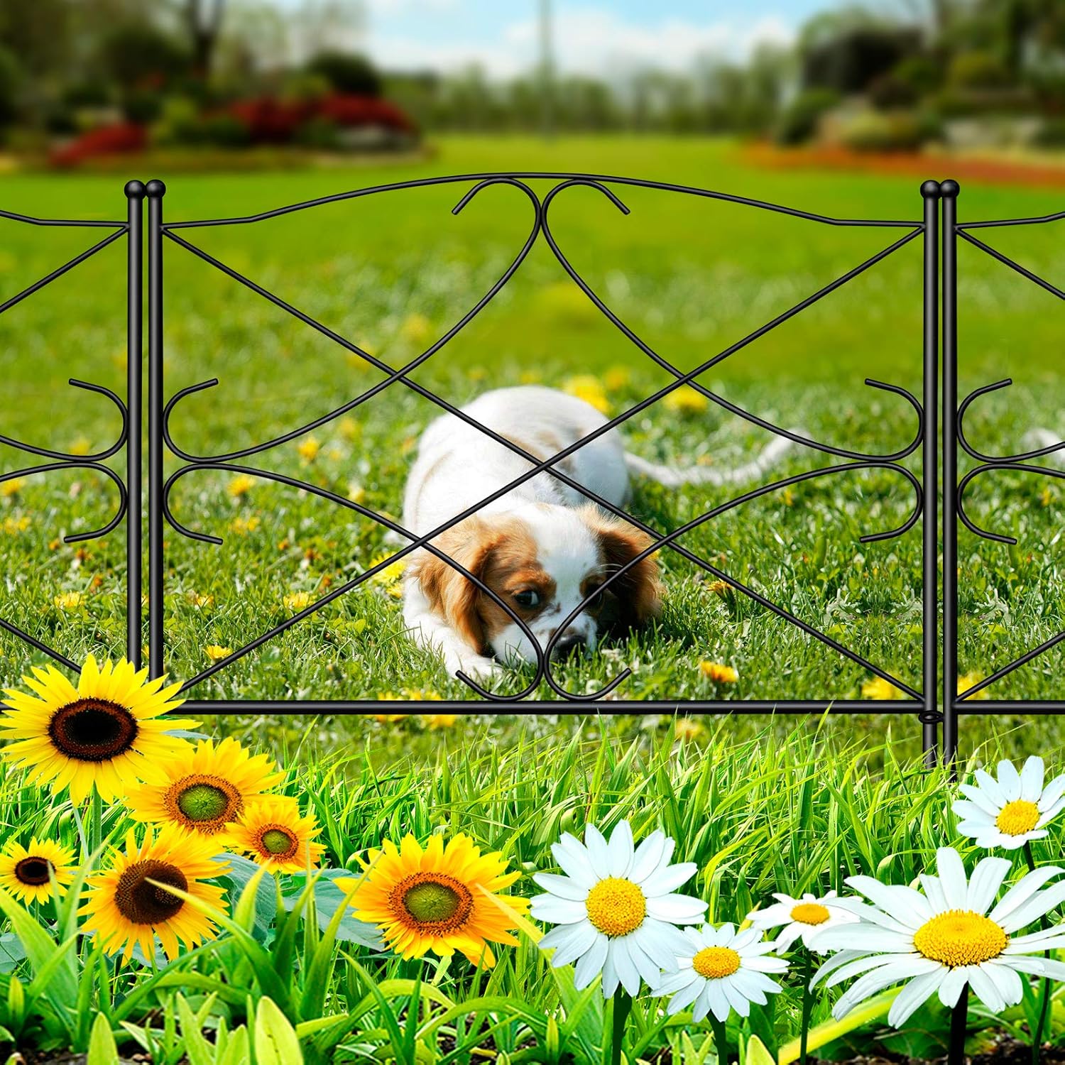 AMAGABELI 10 Panels 17in(H)×10ft(L) Decorative Garden Fences and Borders for Dogs No Dig Rustproof Metal Fence Panels Garden Edging Border Animal Barrier Fencing for Flower Beds Yard Patio Decor Black