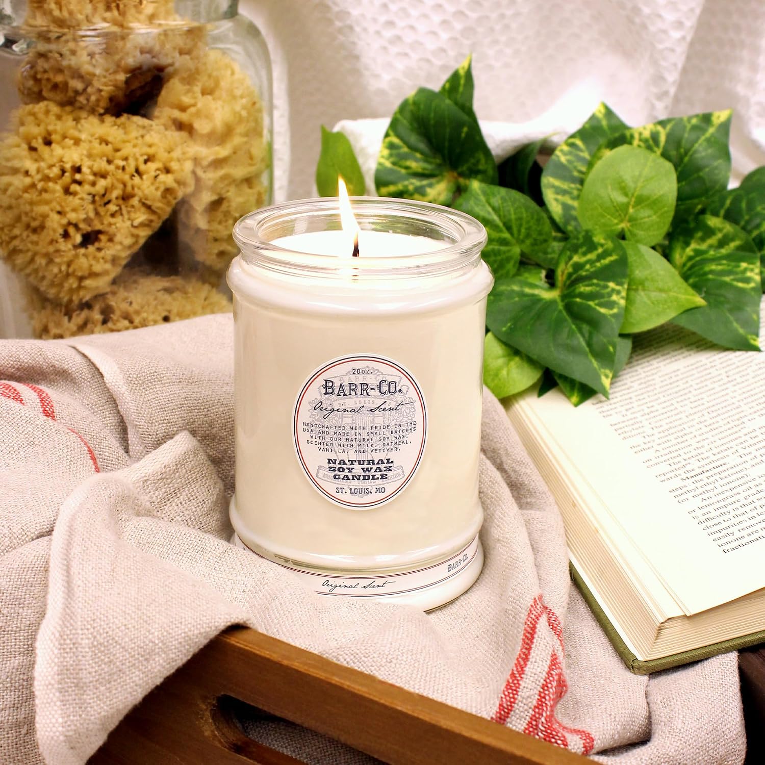 Barr-Co. Fir & Grapefruit Glass Tumbler Candle, 20 oz | Woody Citrus Scent, Long Burning Soy Wax Candle, Scented Candles for Home, Bathroom & Office, 120-Hour Burn Time