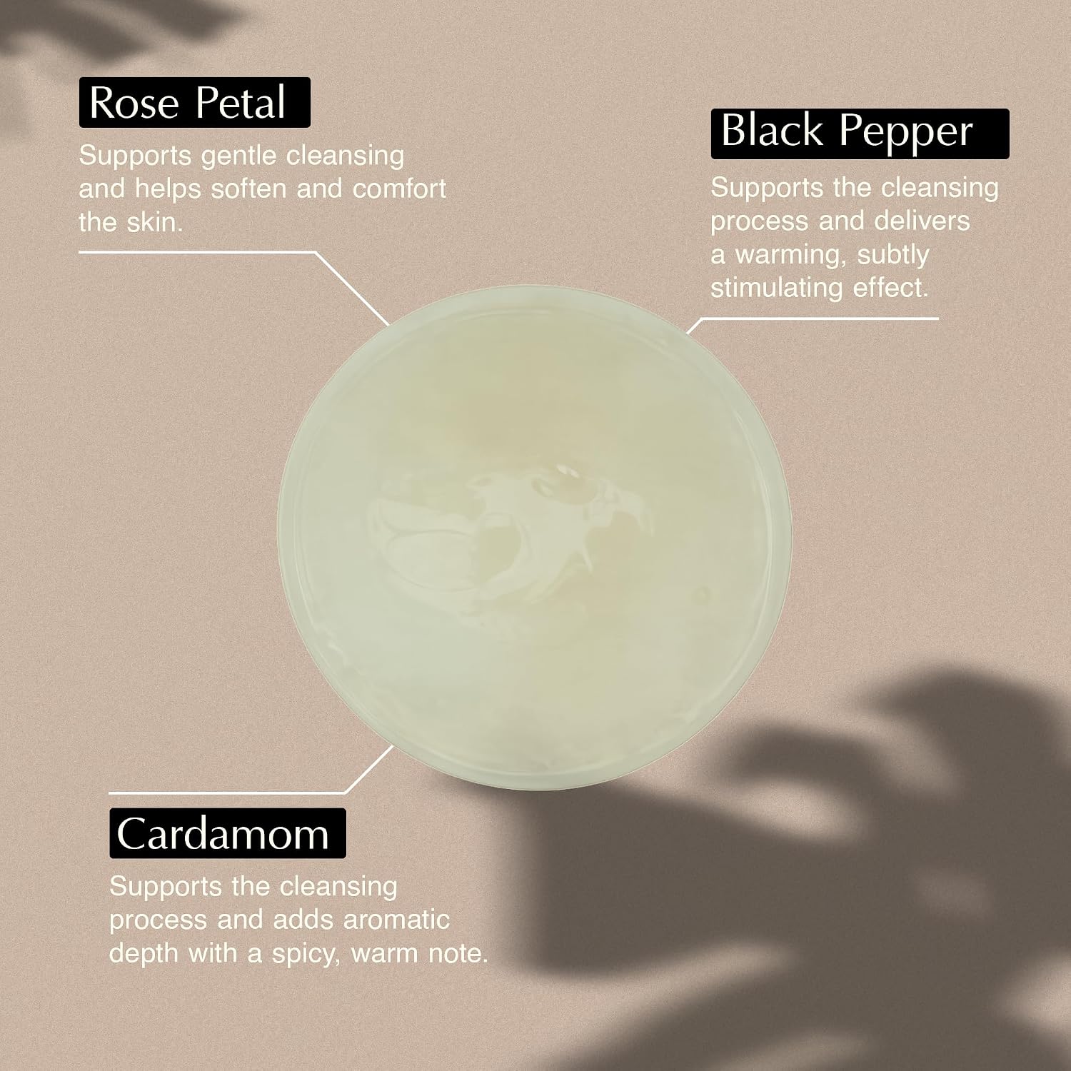 Aesop Geranium Leaf Body Cleanser | Gentle Shower Gel with Geranium, Mandarin and Bergamot Essential Oil Blend to Refresh & Balance Skin | 500 mL / 16.9 oz