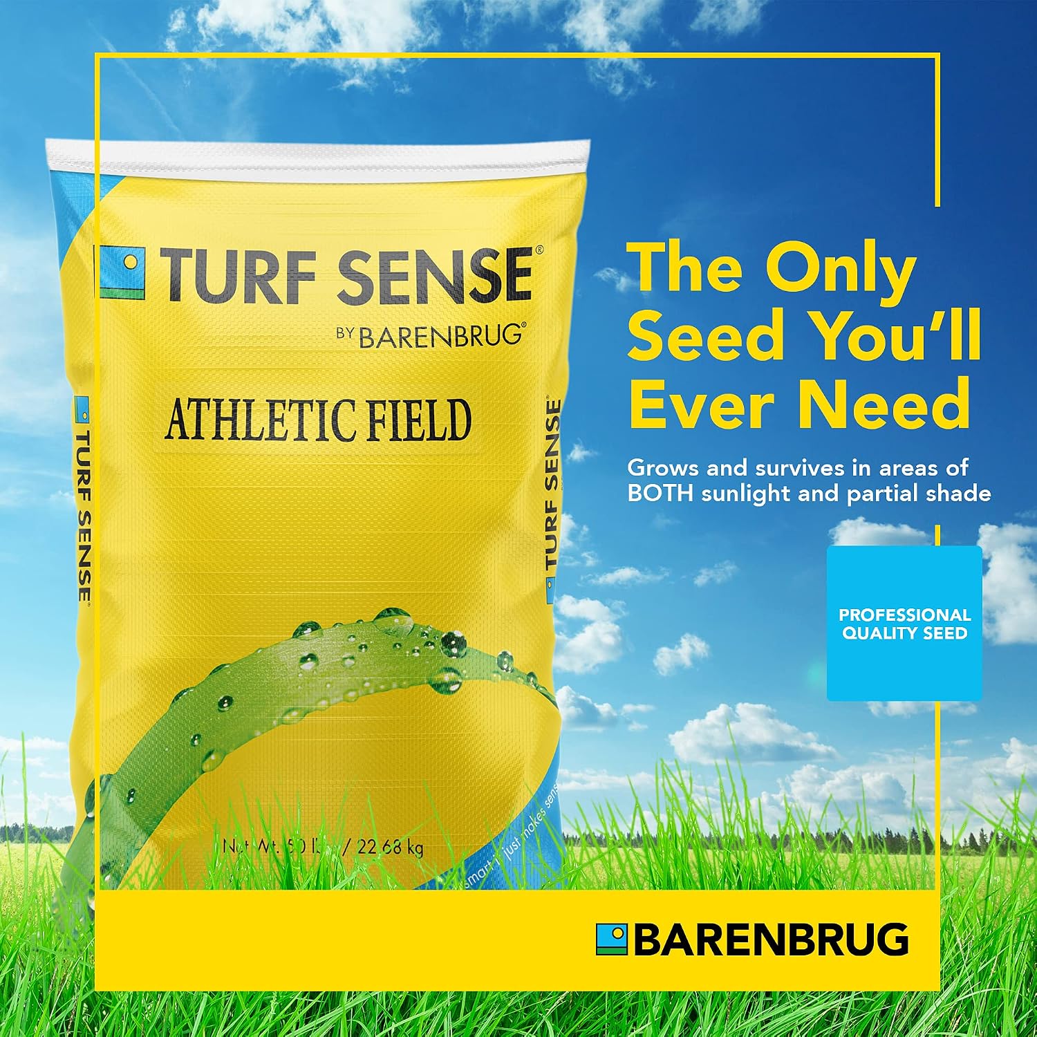 Barenbrug 25626 Turf Sense Athletic Field Grass Seed Grows in Areas of Sun and Partial Shade, 25 LB Bag