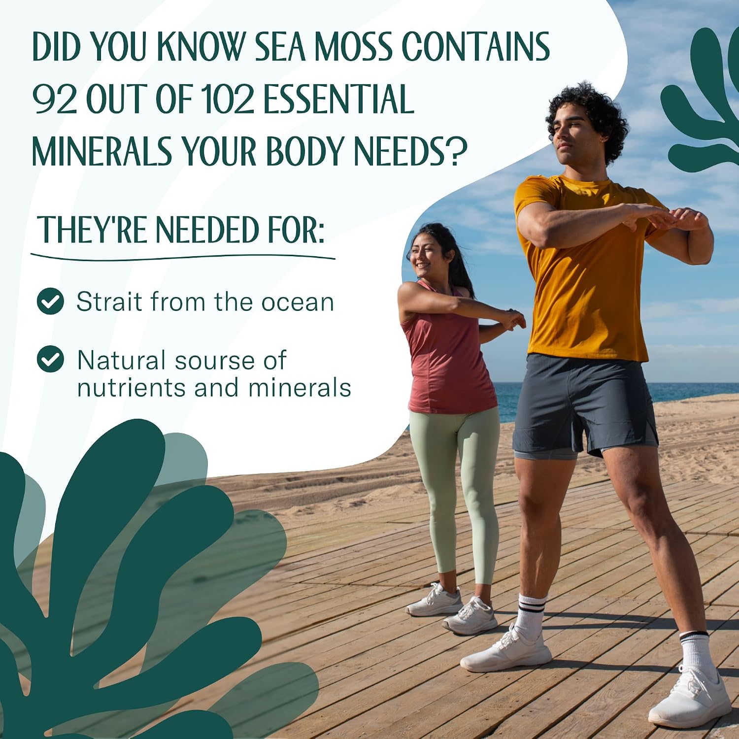 TrueSeaMoss Raw Irish Sea Moss – Wildcrafted Sun-Dried Seaweed for Homemade Gel – 16oz (1 lb) Makes Up to 200oz Gel – Atlantic Harvested