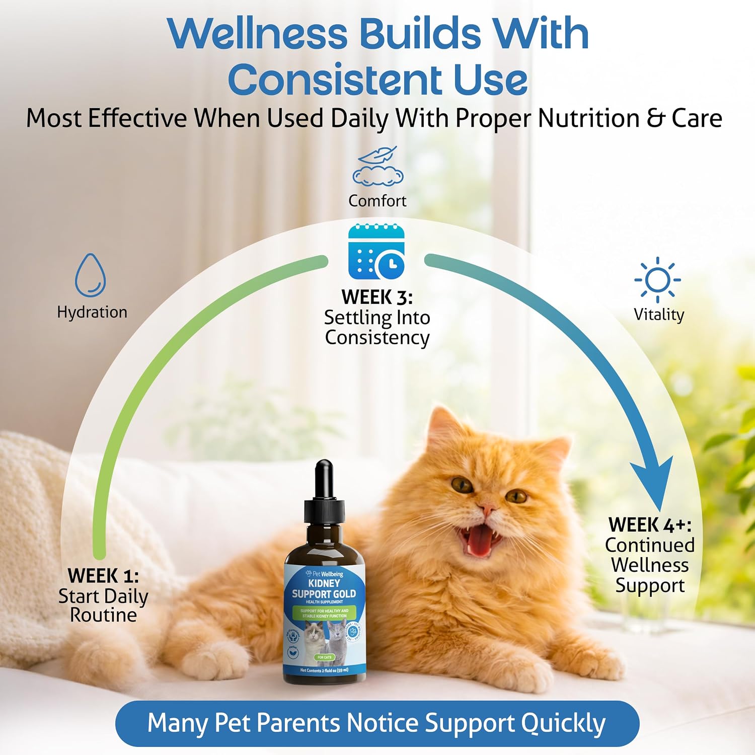 Pet Wellbeing Kidney Support Gold for Cats - Supports Normal Kidney Function & Detox, Healthy Hydration & Energy with Rehmannia & Dong Quai - NASC Certified & Vet-Formulated - 2oz Liquid Formula | NASC Certified & Vet-Formulated Liquid Kidney Support Sup…