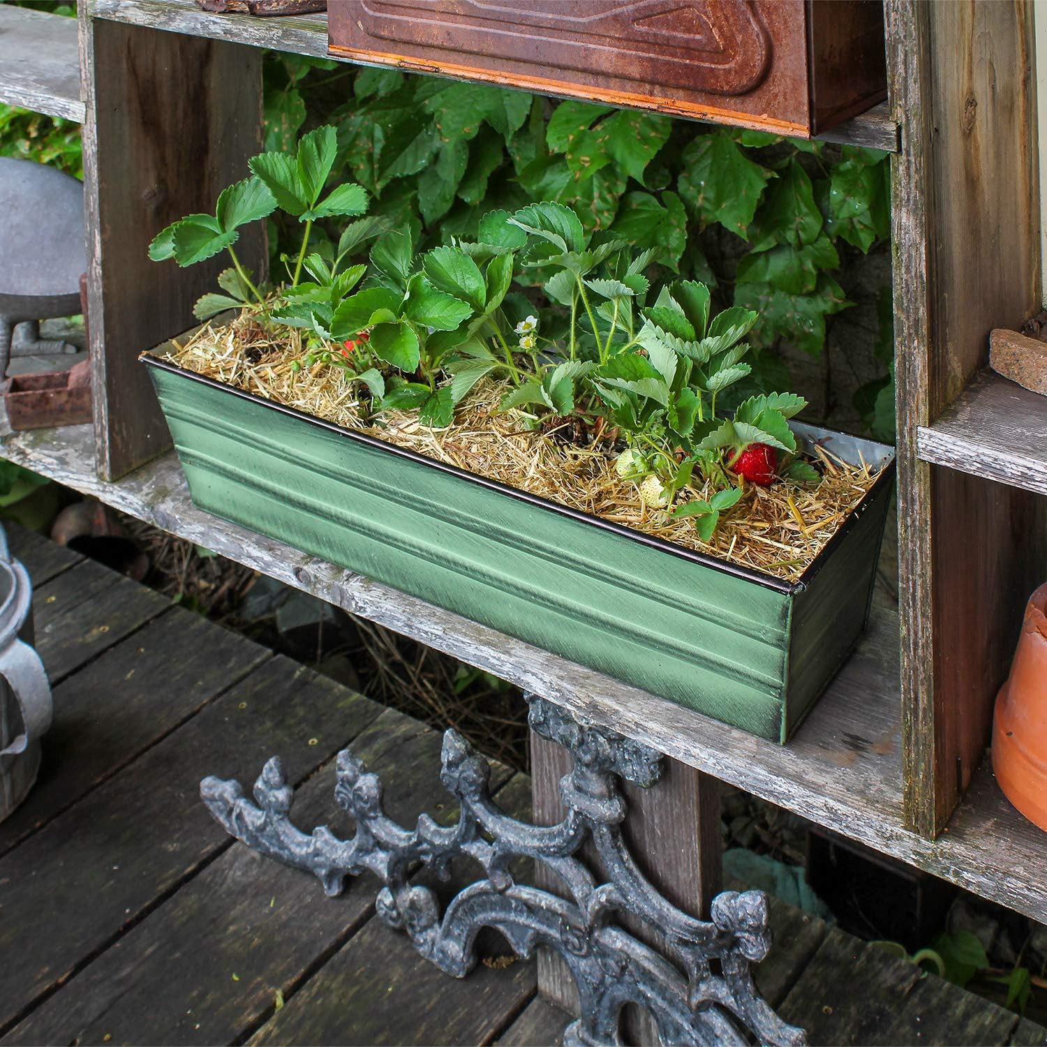 Achla Designs Galvanized Window Flower Box Planter-Green-Medium (24" L x 9.5" W x 7.5" H)
