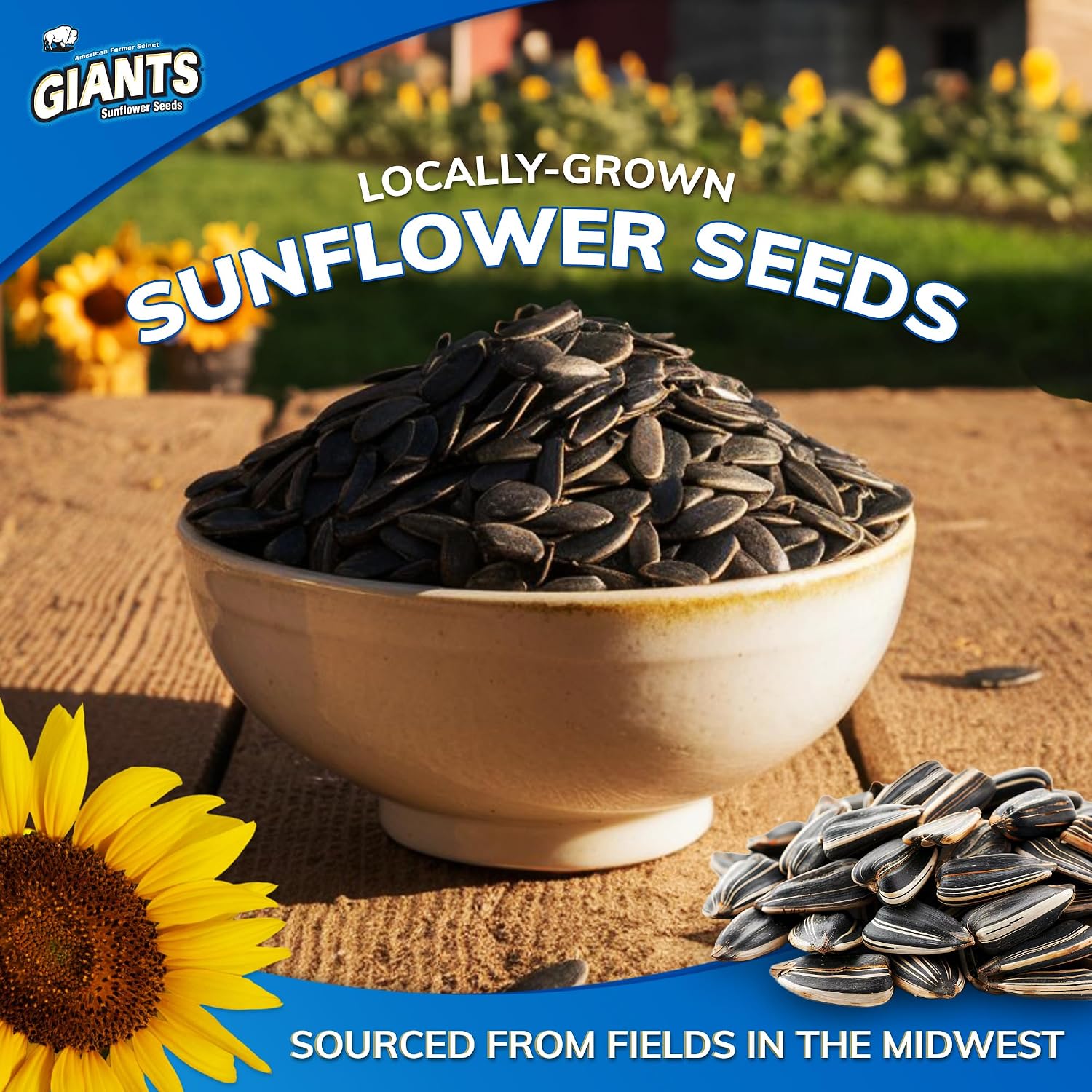 GIANTS Original Sunflower Seeds - Sunflower Seeds to Eat, Sunflower Seeds Bulk, Lightly Salted Sunflower Seeds for Eating, High Protein Snack - 5.75 oz Resealable Bags (Case of 12)