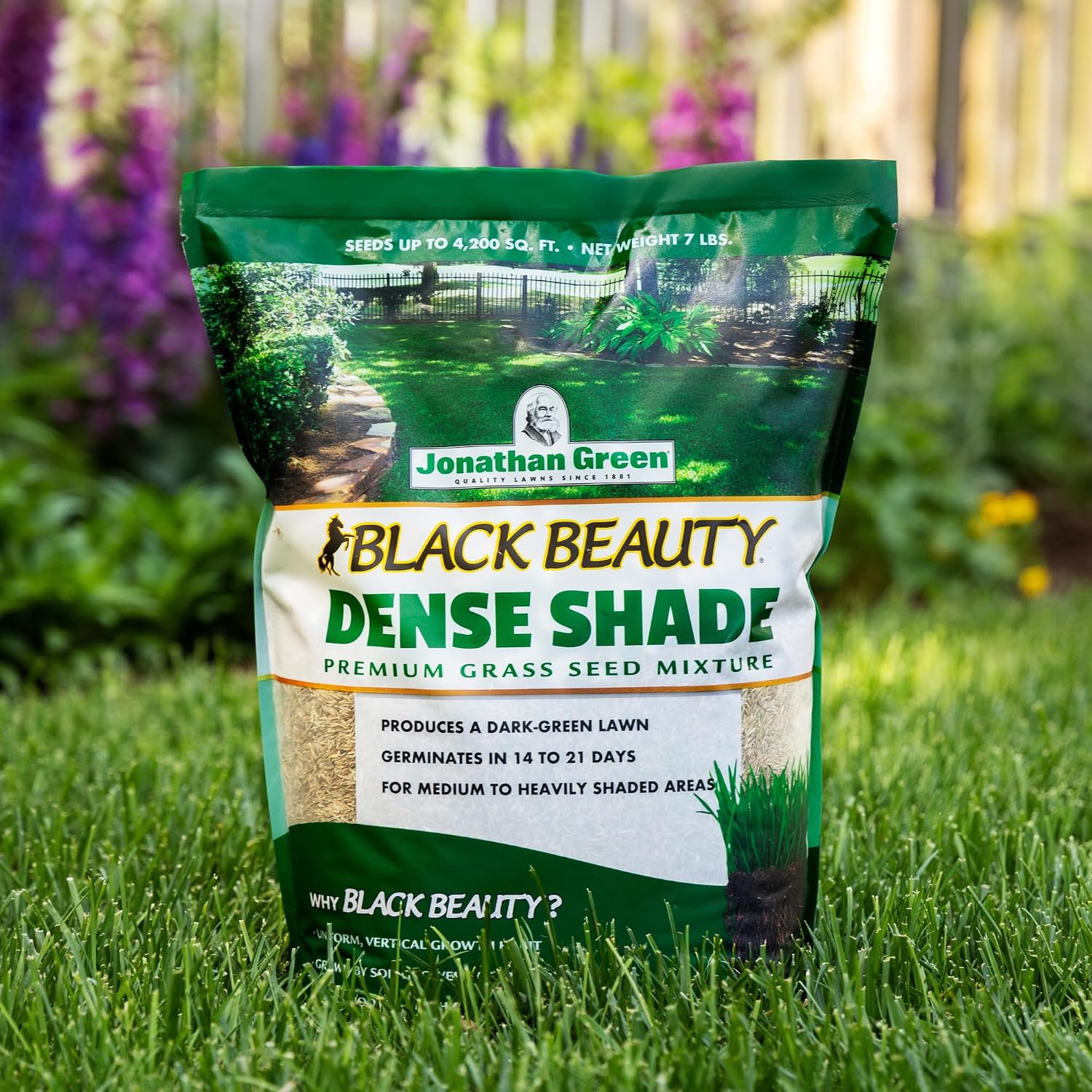 Jonathan Green (10610) Black Beauty Dense Shade Grass Seed - Cool Season Lawn Seed (25 lb) | Grows Well in Medium to Densely Shaded Areas