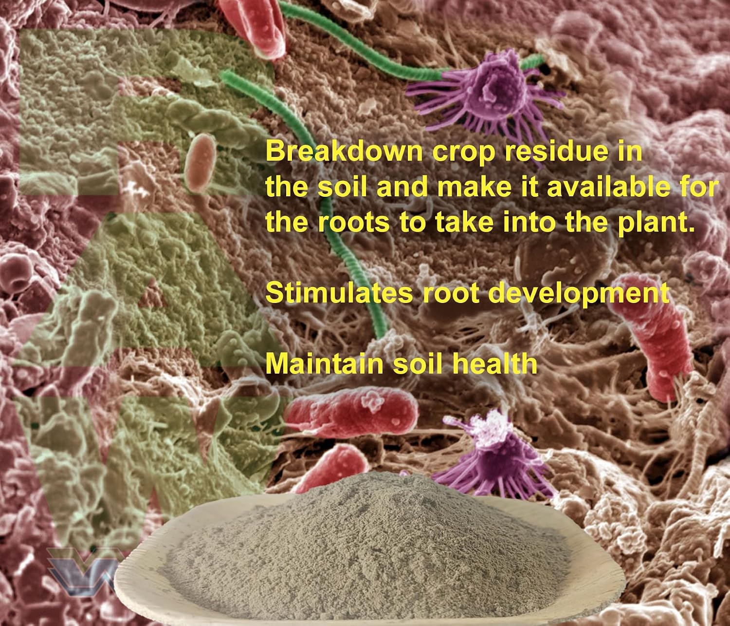 RAW Microbes Bloom Stage 2 oz