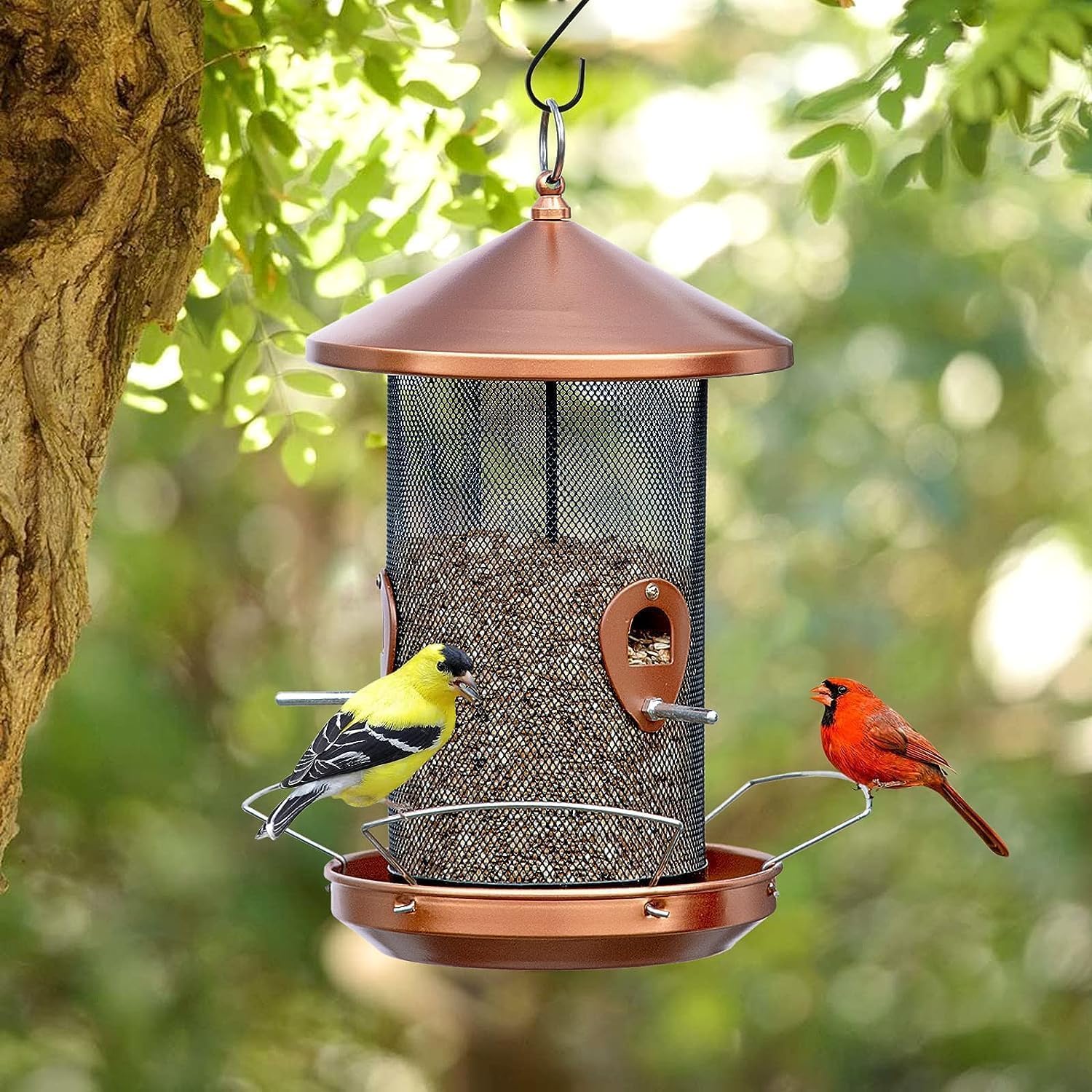 Large Bird Feeders for Outside: 3-5LB Capacity Seed Feeding | 12.6inch Easy Hanging for Tree Garden Yard Outside Decor Cardinal Finch - Gardening