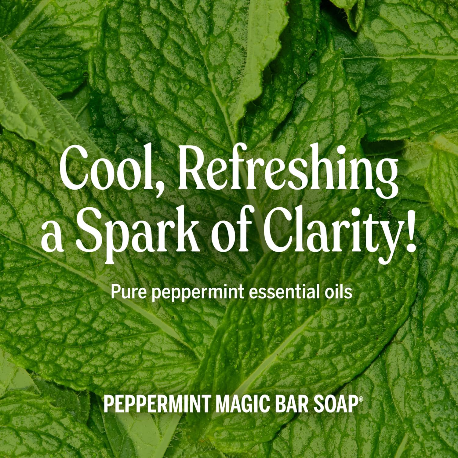 Dr. Bronner's Dr. Bronner Hemp Peppermint Pure Castile Oil Made with Organic Oils Certified - 25 Oz, 1count