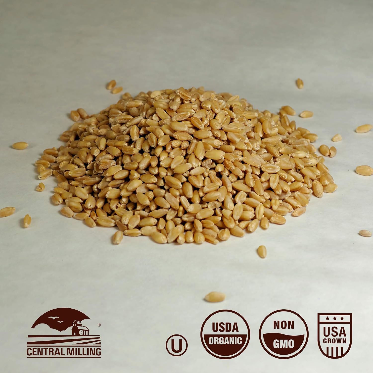 100% Organic Hard Red Spring Wheat Berries- 25 lbs