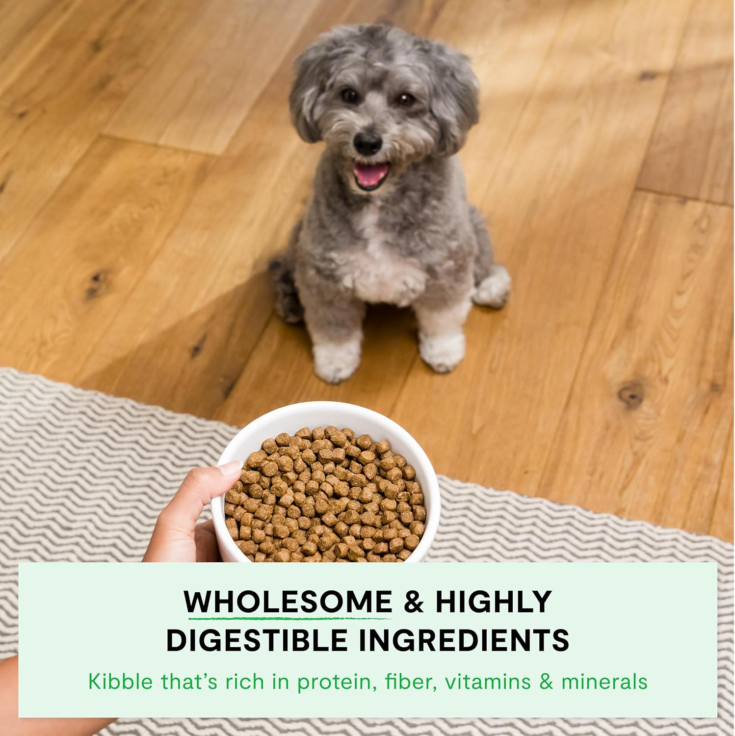 Open Farm Ancient Grains Dry Dog Food, Grass-Fed Beef Kibble, 11lb Bag