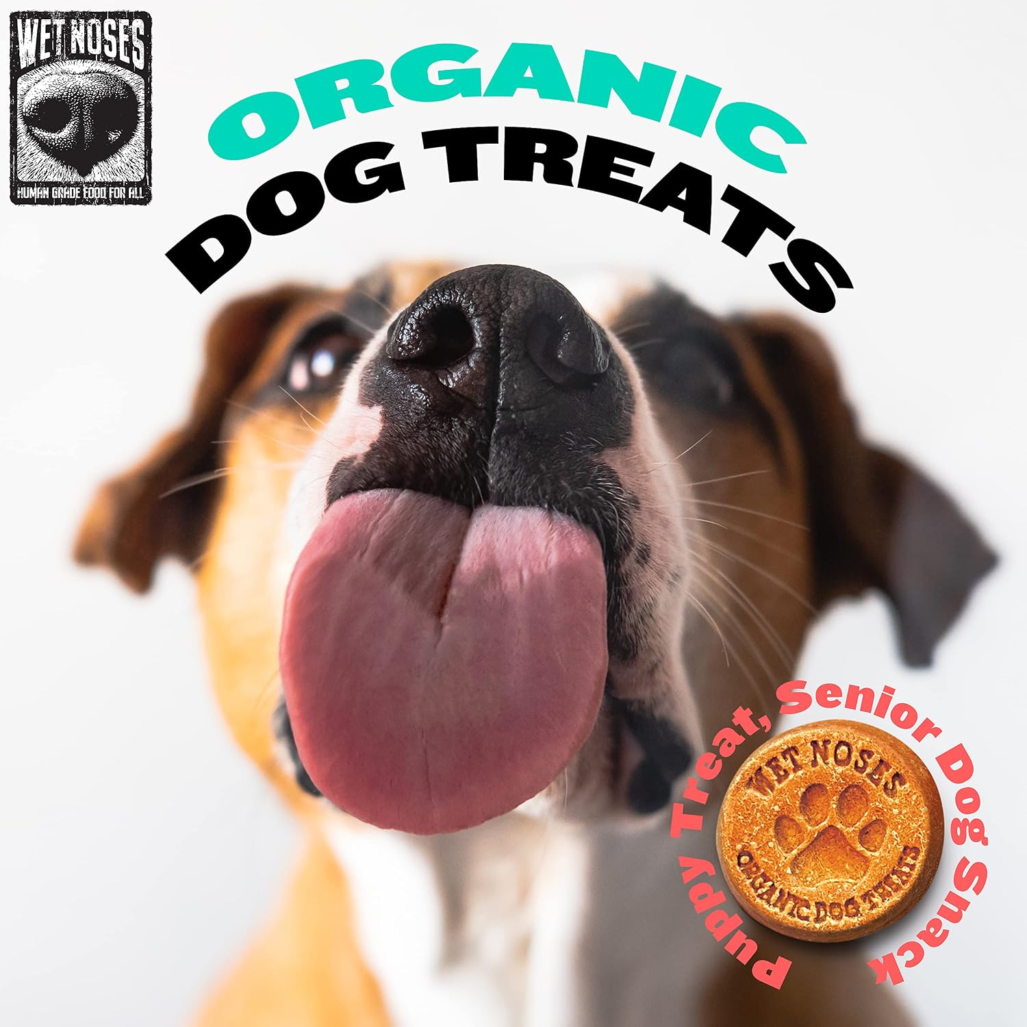Wet Noses Organic Crunchy Dog Treats – All-Natural, Human-Grade, Non-GMO, Healthy Training & Delicious Snacks for Dogs