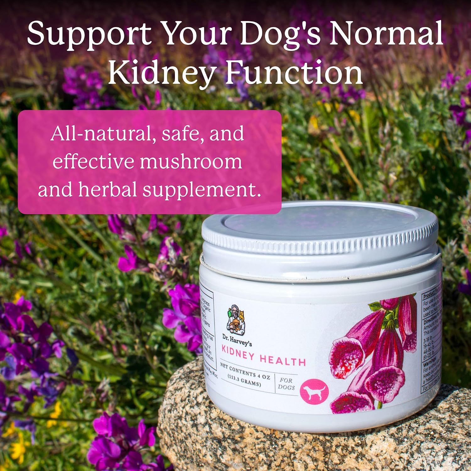Dr. Harvey's Kidney Health Kidney Support Supplement for Dogs (4 Ounces) | 100% Human Grade - 4 oz Container