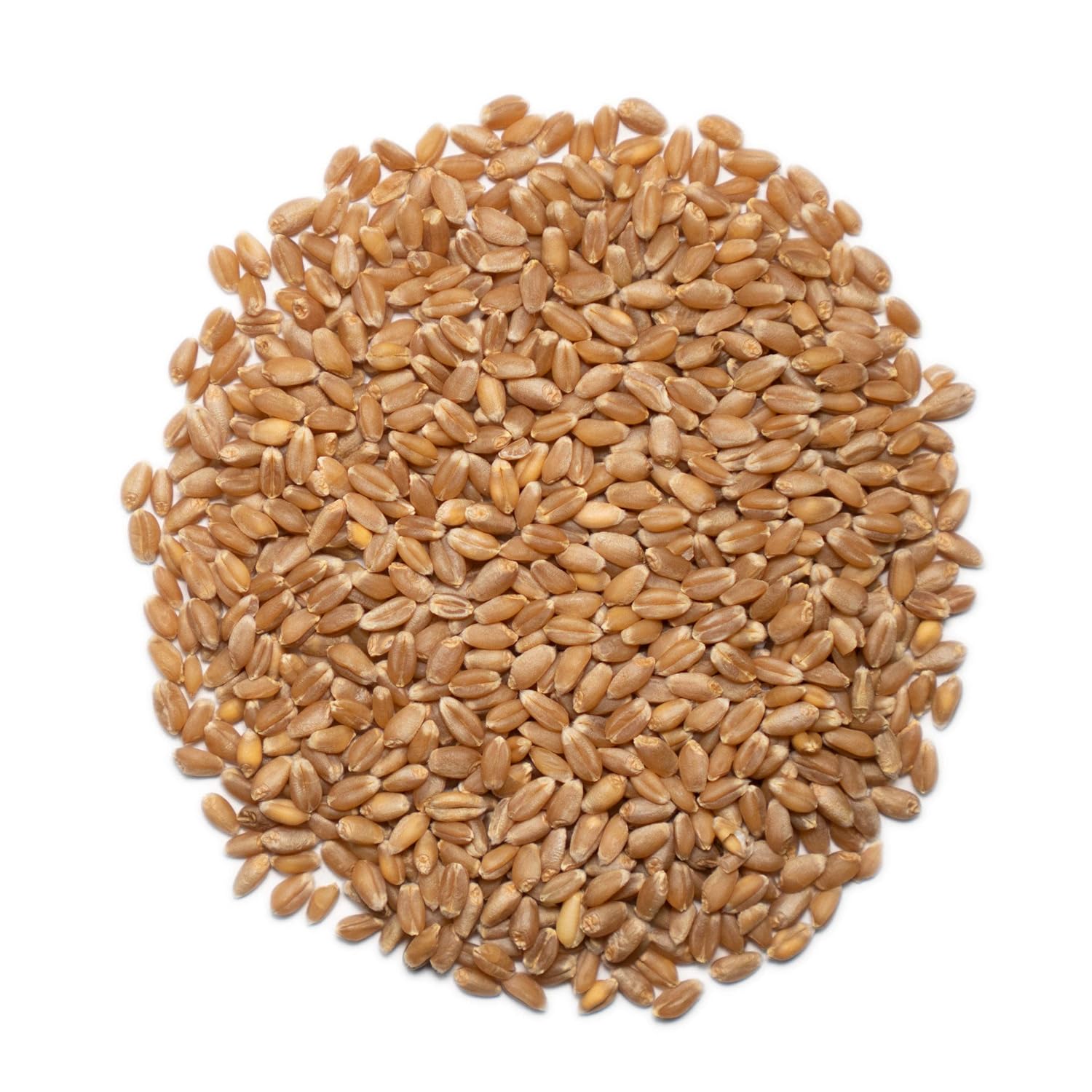 1000 SPRINGS MILL - Organic Hard Red Spring Wheat Berries - Used for Organic Flours, Cereals, Salads