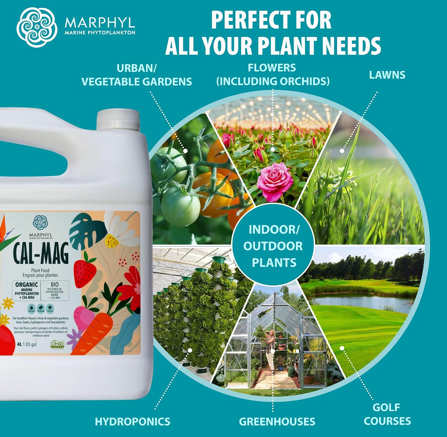 MARPHYL All-Purpose Plant Food – Organic Nutrient-Rich Fertilizer & Soil Enhancer for Indoor & Outdoor Flowers, Vegetables, Succulents, Bamboo & Hydroponics