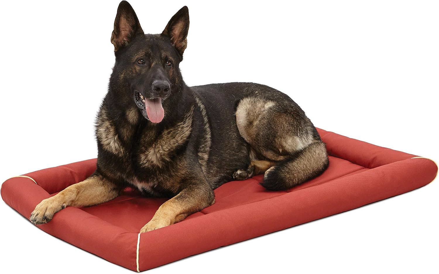 MidWest Homes for Pets Intermediate QuietTime MAXX Ultra-Rugged Dog Bed, Water & Odor Resistant, Bolstered Edge, Non-Slip Bottom, Fits 36-inch Crates, Black