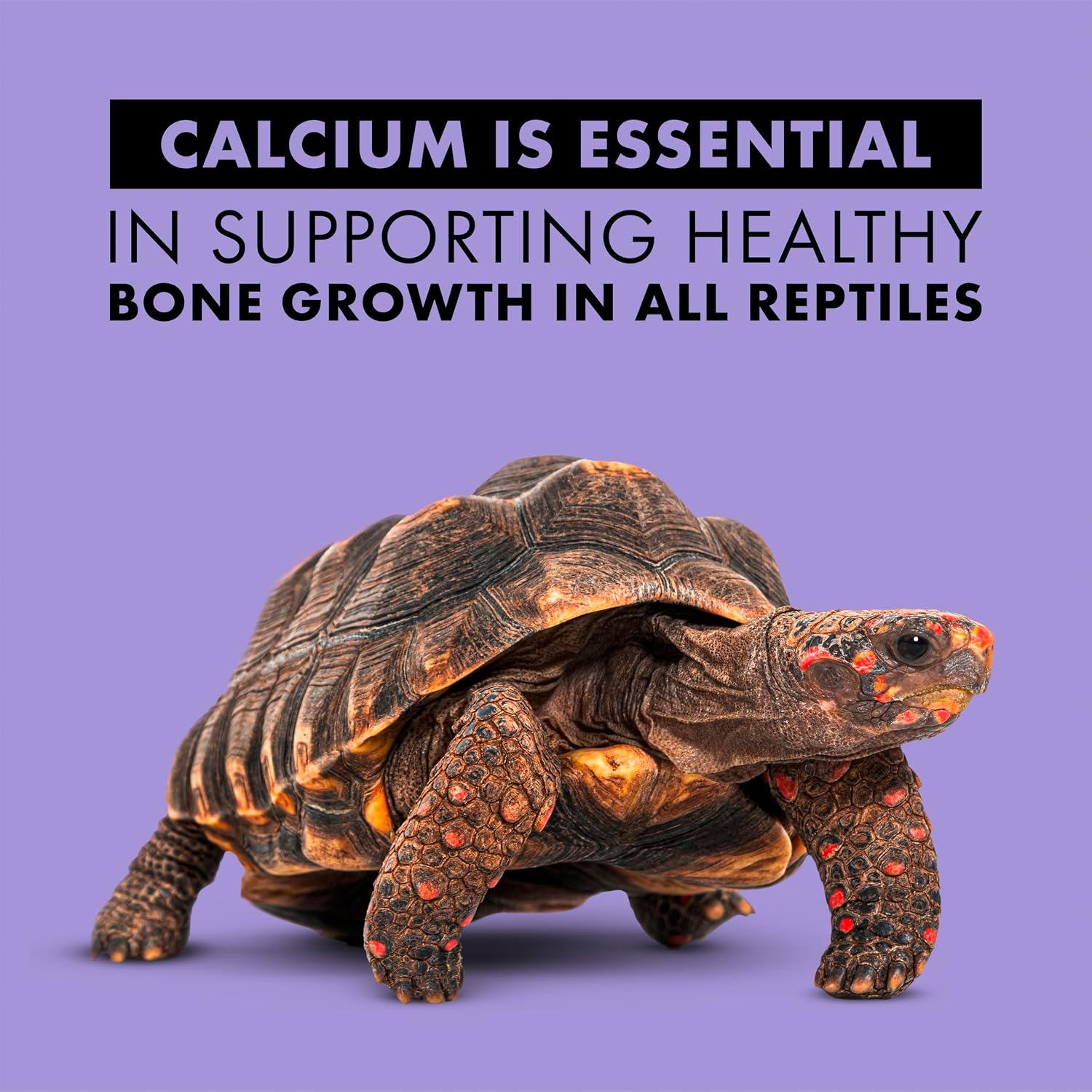 Zilla Calcium Supplement Spray 8 oz.