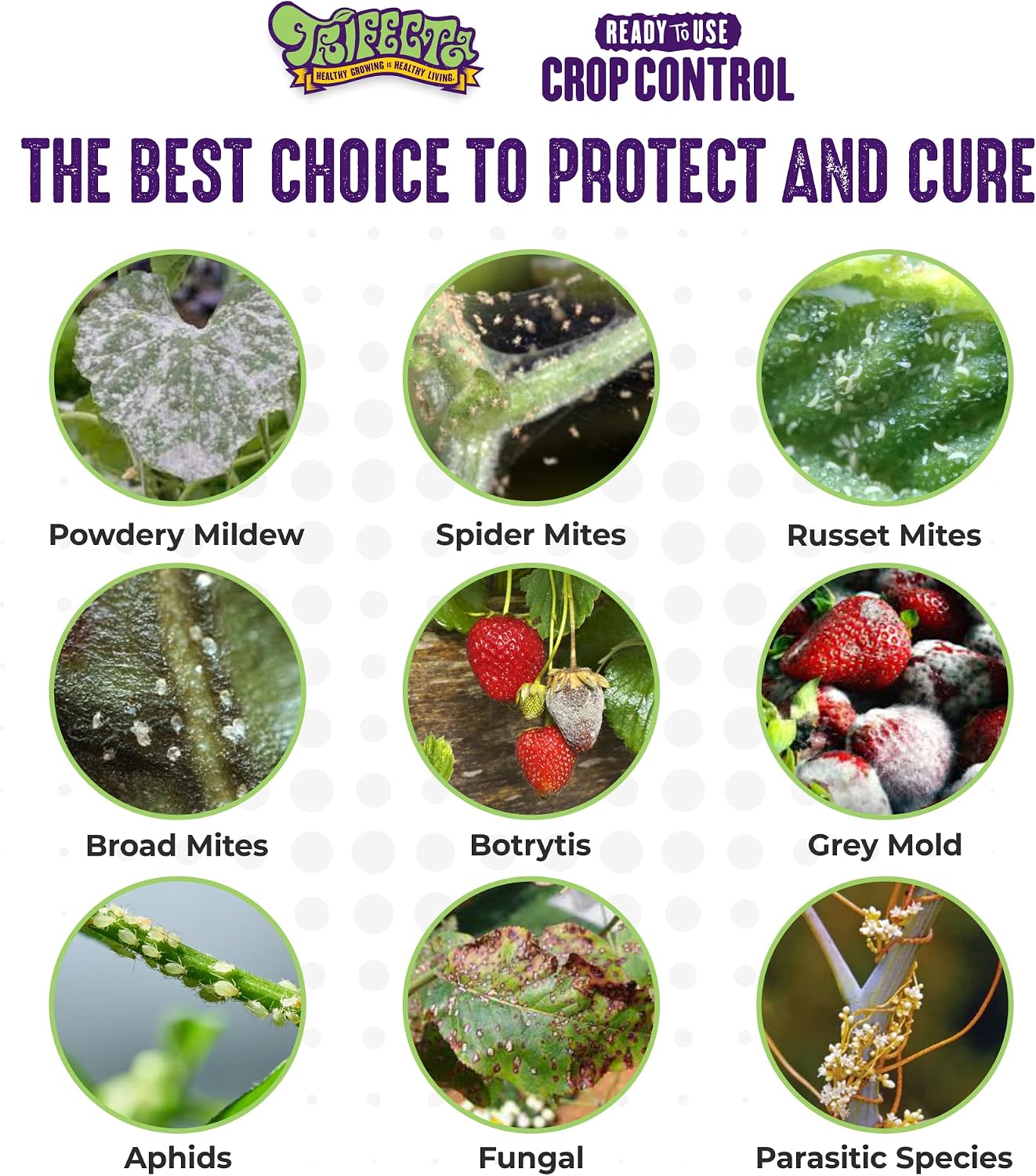 Trifecta Crop Control Super Concentrate | 4 oz | All-in-One Pesticide, Fungicide, Miticide And Insecticide | For Spider Mites, Mildew, Mold And Botrytis