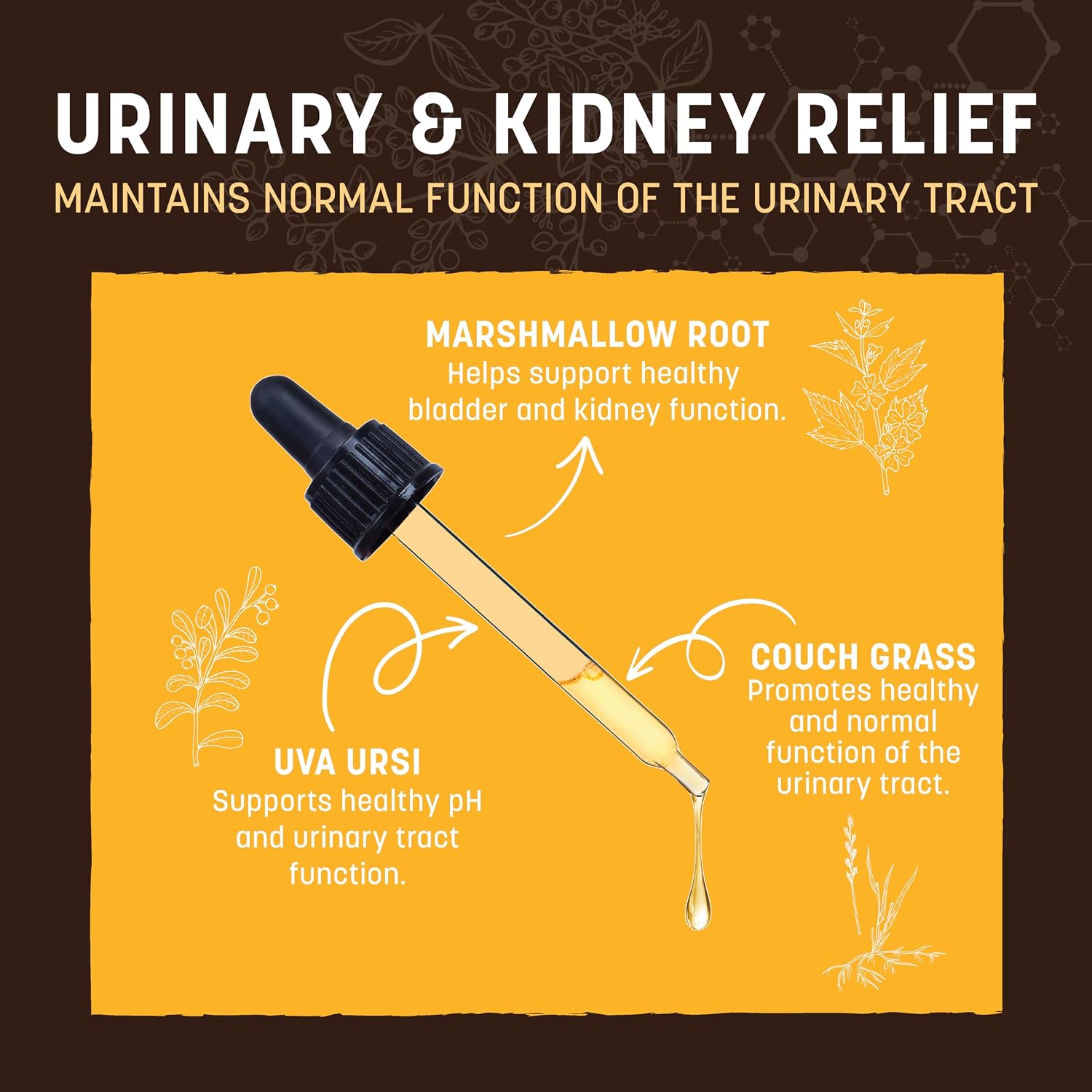 Earth Animal Apothecary - Urinary & Kidney Relief for Dogs & Cats - 2 fl oz | Herbal Remedies Liquid Supplement Blend - Uva Ursi, Couch Grass, Gravel Root, Yarrow, Cleavers, Marshmallow Root, Cornsilk