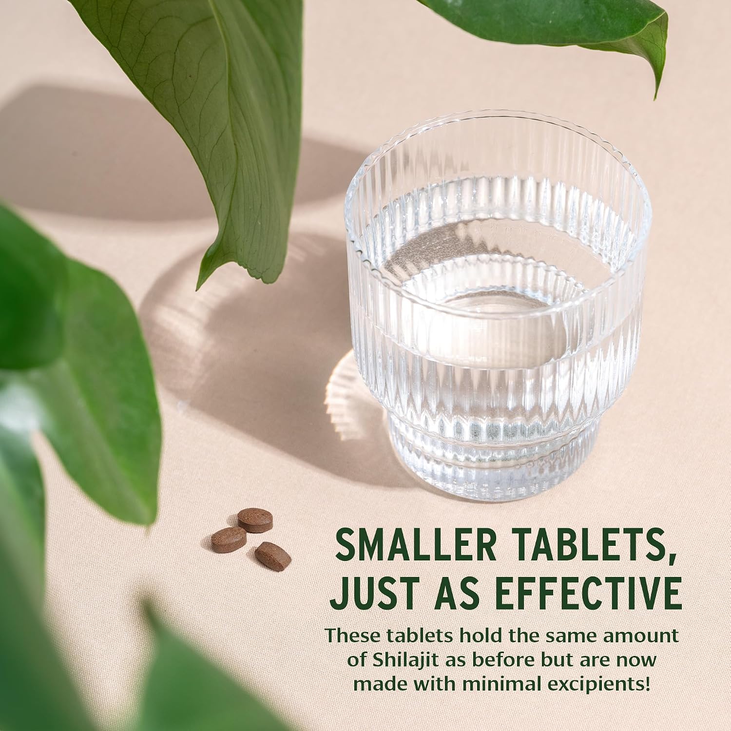 Banyan Botanicals Shilajit – 90 Pure Pressed Tablets for Energy & Vitality*