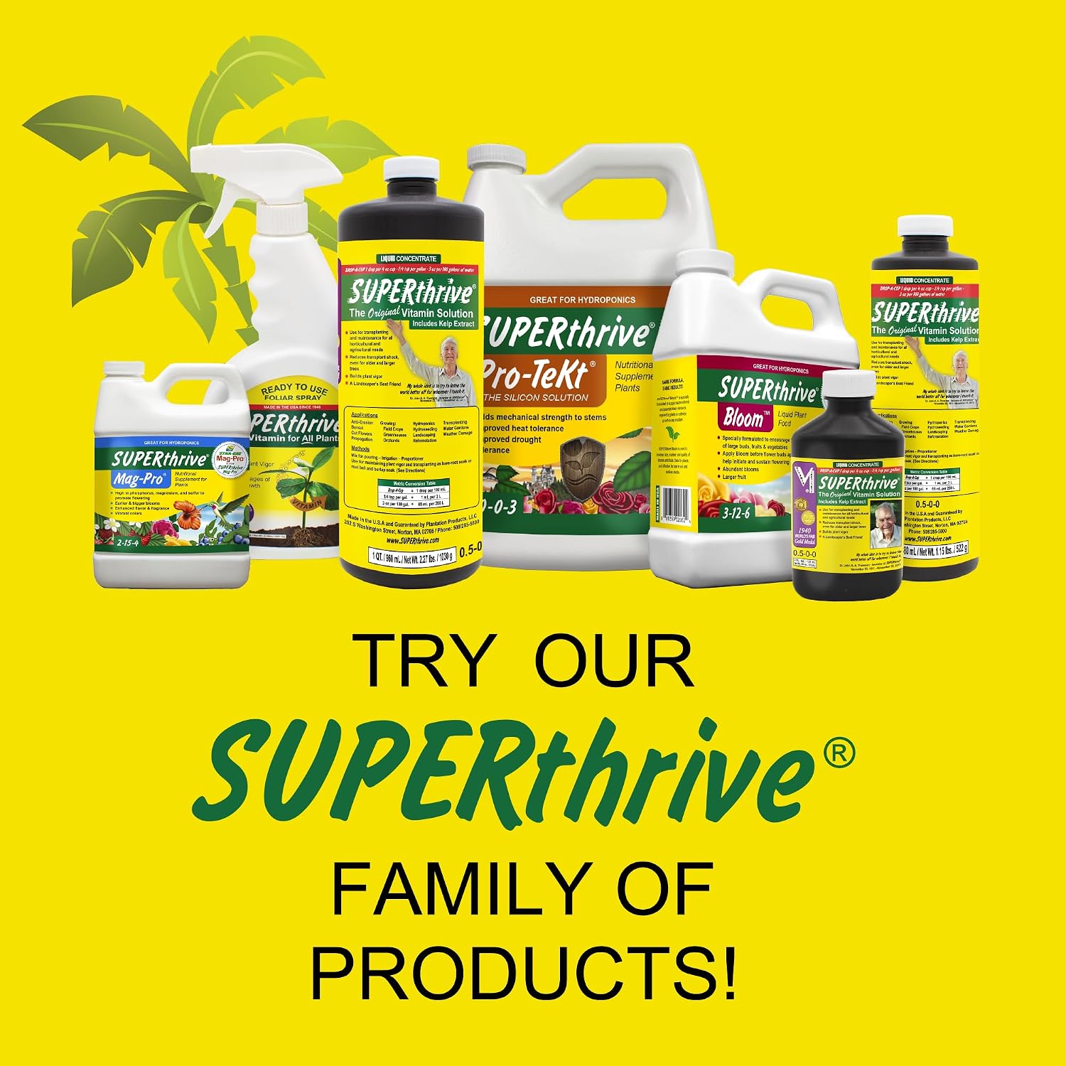 SUPERthrive 5 Gallon (1/Cs) | 0.5-0-0 formula with kelp extract. For indoor/outdoor plants, houseplants, trees. Reduces shock, even for large trees.