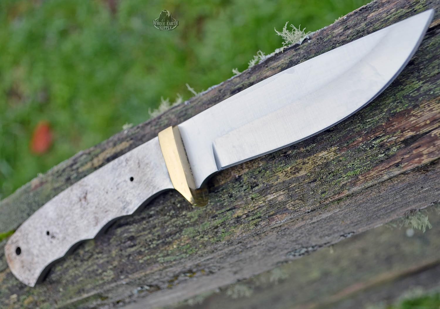 420 Stainless Steel Knife (420 Stainless Steel, 3.5 Inch Blade & 4.5 Inch Blade)