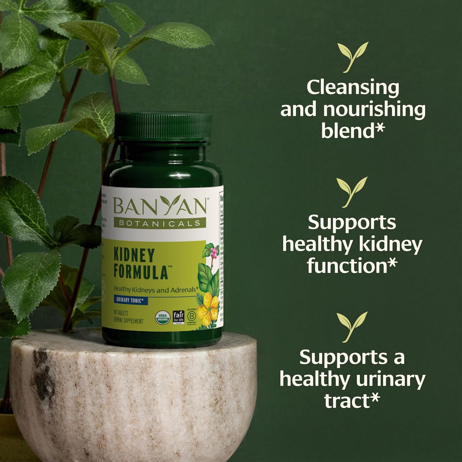 Banyan Botanicals Organic Kidney Formula–Urinary Tract Support & Detox Supplement–Gokshura & Punarnava for Fluid Balance & Systemic