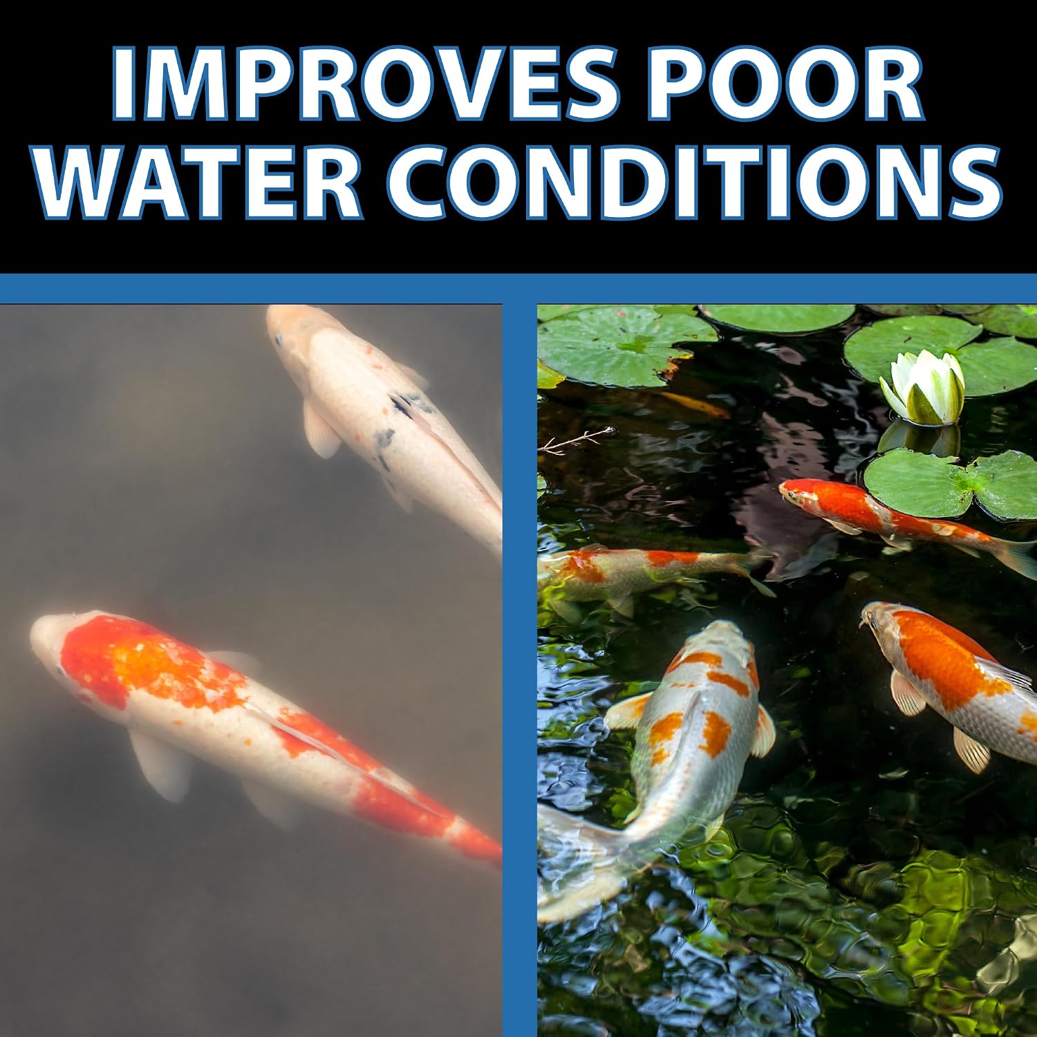 CrystalClear Barley Extract Pond Treatment, Water Clarifier, 2.5 Gallon | Natural for Fountains, Water Gardens & Koi Ponds, clears cloudiness and is Fish & Plant Safe