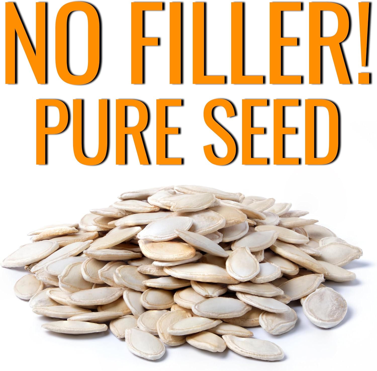 Seed Needs Pumpkin Seeds to Plant 100 Seeds Spooky Mix Non GMO Bulk Pack
