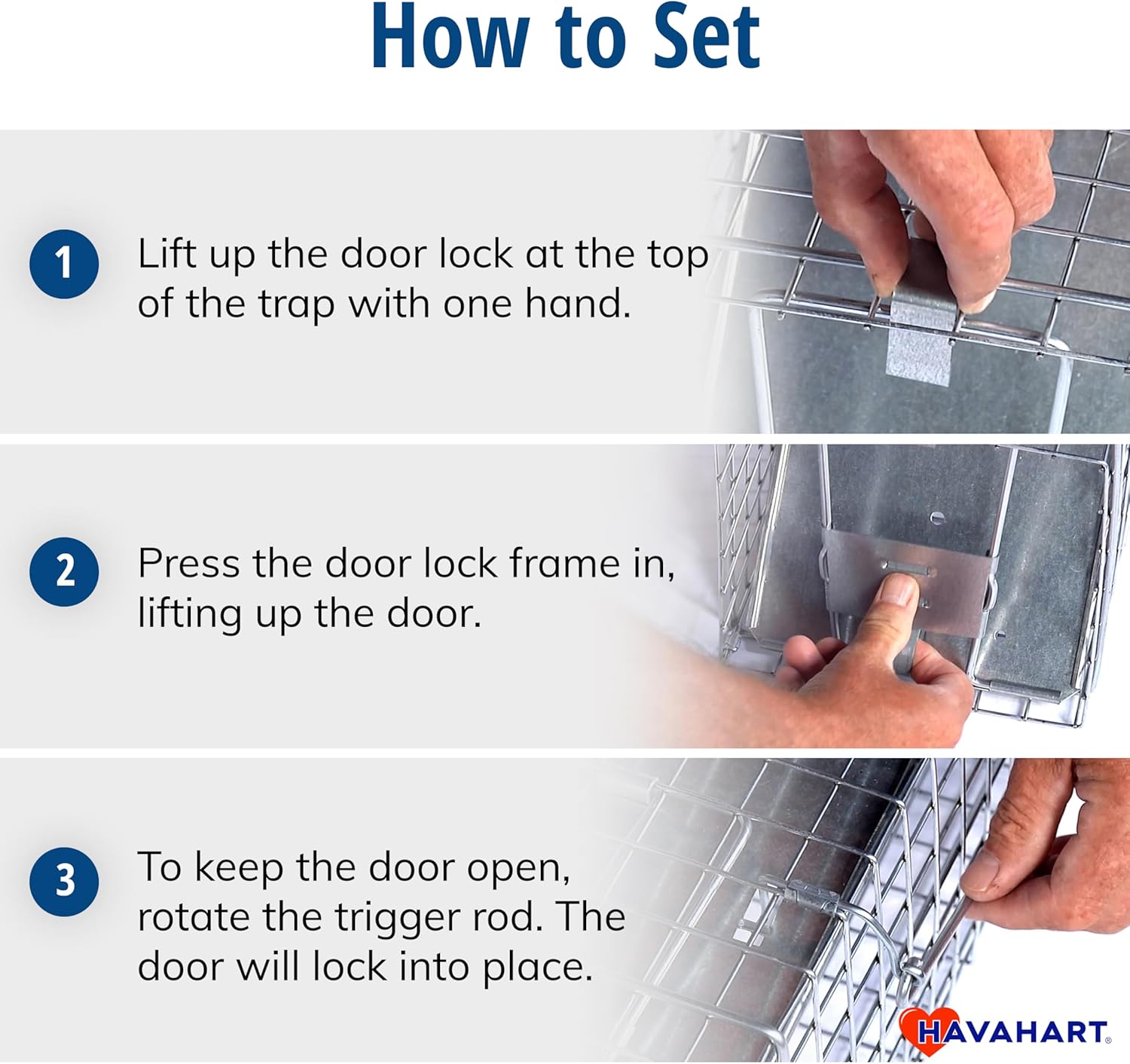 Havahart Medium 1-Door Live Animal Trap, Galvanized Steel Cage | Humane Catch and Release for Rabbit, Skunk, Mink, and Squirrel, Spring-Loaded Door