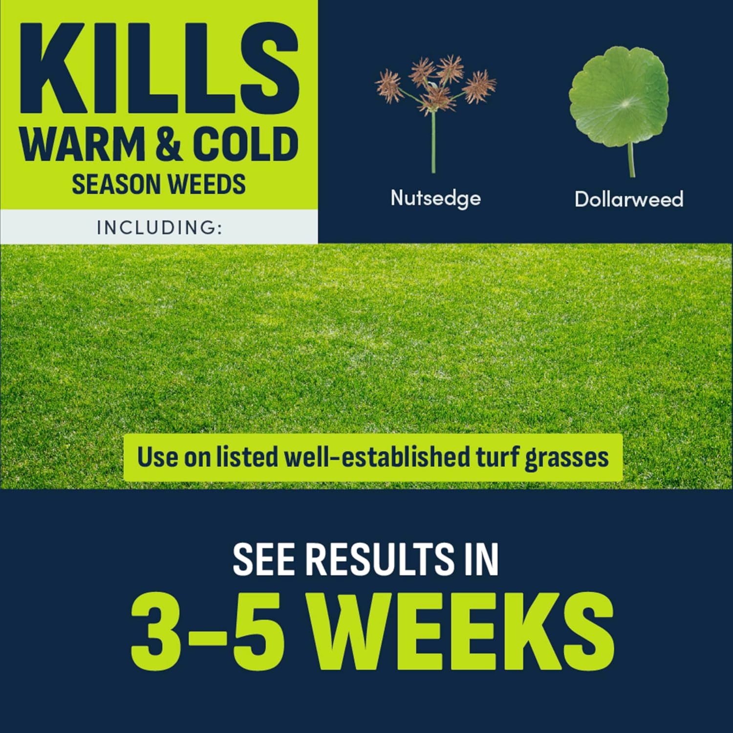 Image Herbicide Nutsedge Killer for Southern Lawns, 32 fl oz | Weed killer spray for Bermudagrass, Zoysiagrass, St. Augustinegrass