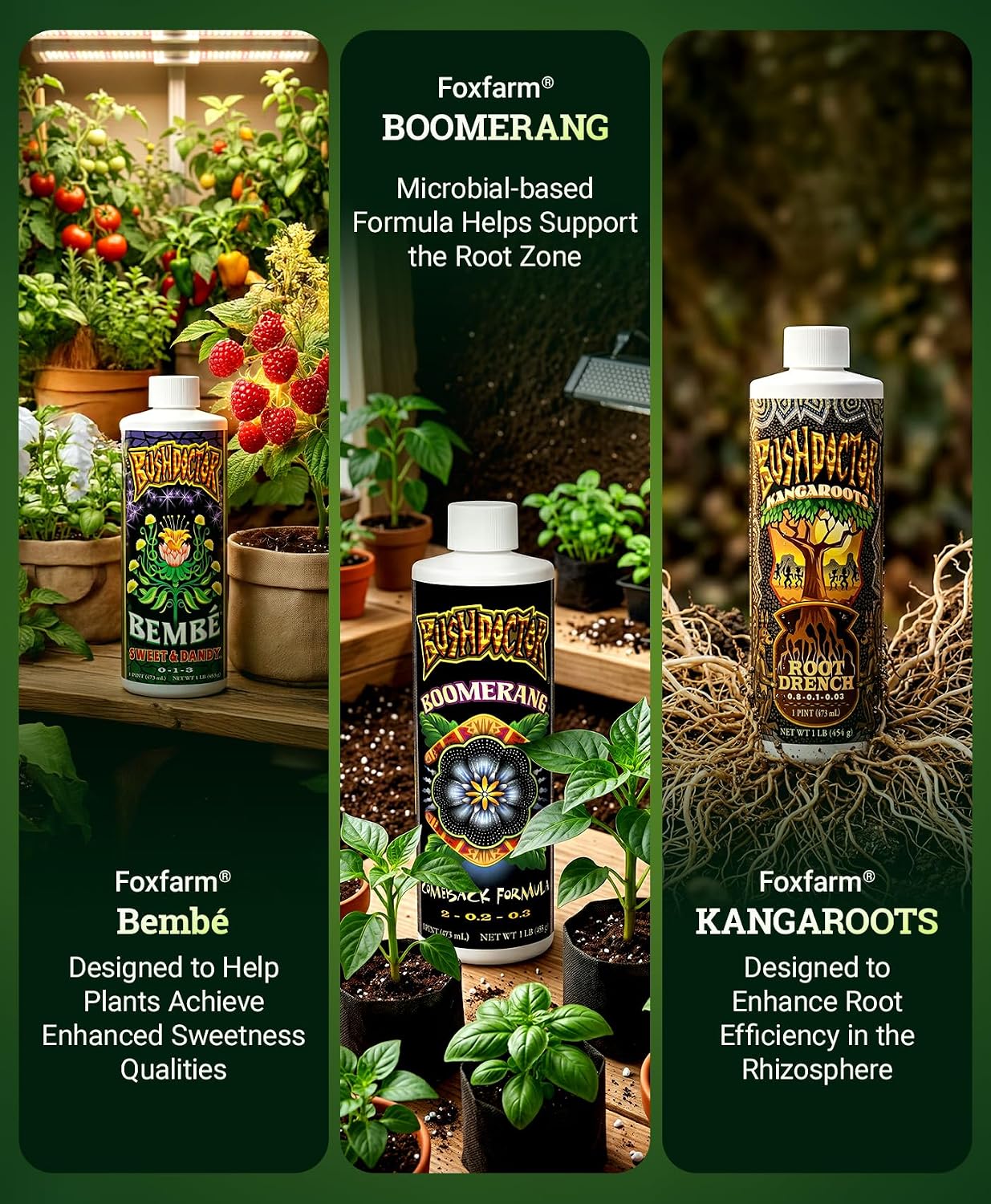 FoxFarm Dirty Dozen Liquids & Solubles Starter Pack - 3 Solubles (Open Sesame, Beastie Bloomz, Cha Ching) & 9 Pint Liquids (Big Bloom, Tiger Bloom