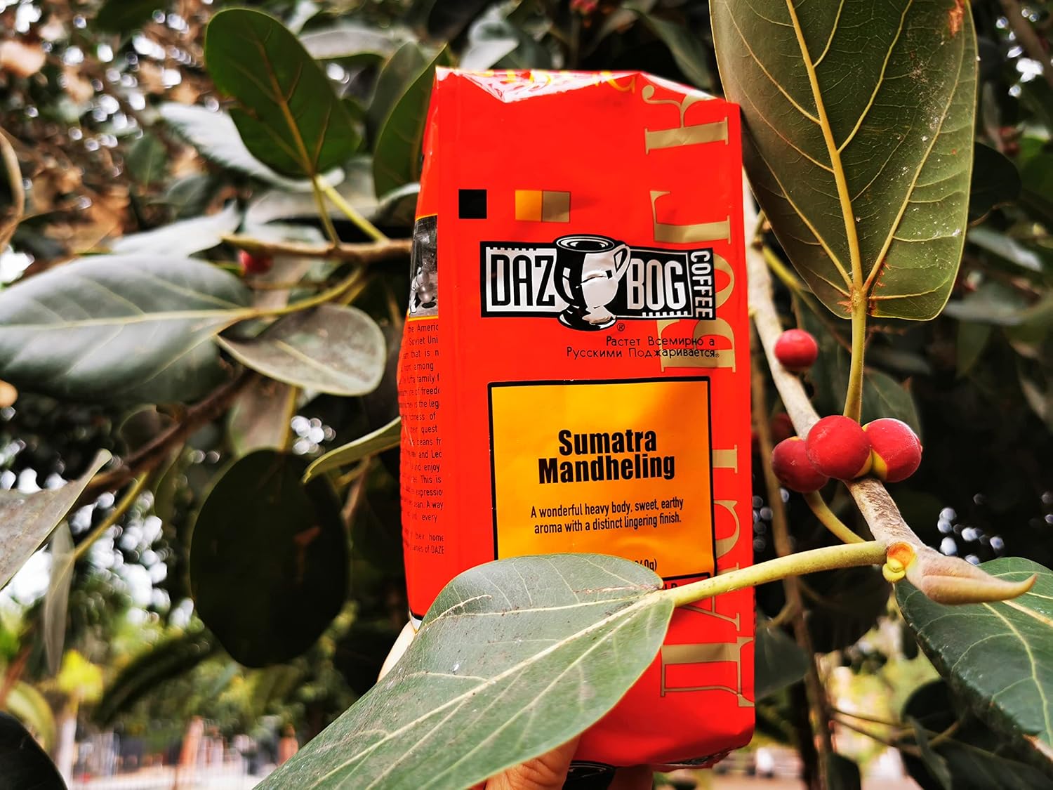 Dazbog Coffee | French Roast | Whole Bean Coffee | Pack of 6 | 11 oz. | Creamy & Smoky Finish | Dark Roast Blend | Rich, Smooth, Full Bodied | Vacuum Sealed Freshness