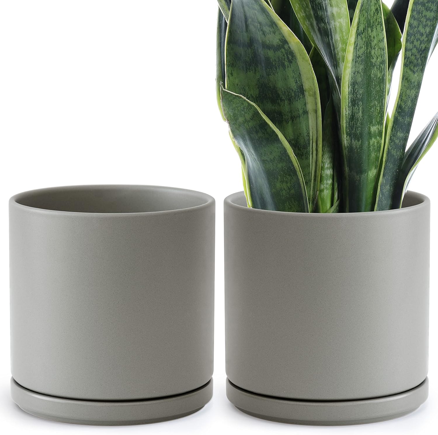 D'vine Dev 2-Pack Ceramic Pots with Saucers, White/Grey, 4.7 in, 94-V-B-6