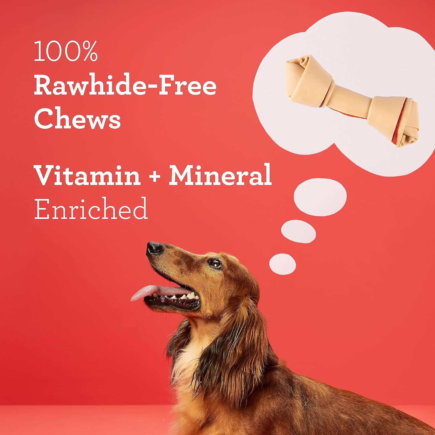 DreamBone Small Bone Rawhide-Free Dog Treats With Real Protein, 10 Count | Daily Chew, Digests Safely and Completely, Made With Real Chicken and Veggies, For Adult Dogs