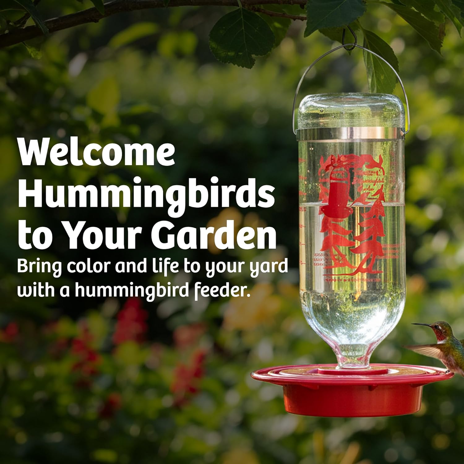 Birds Choice Best-1 Hummingbird Feeder | 32oz Nectar Capacity | Clear | Wide-Mouth Bottle for Easy Filling and Cleaning, Multiple Feeding Ports