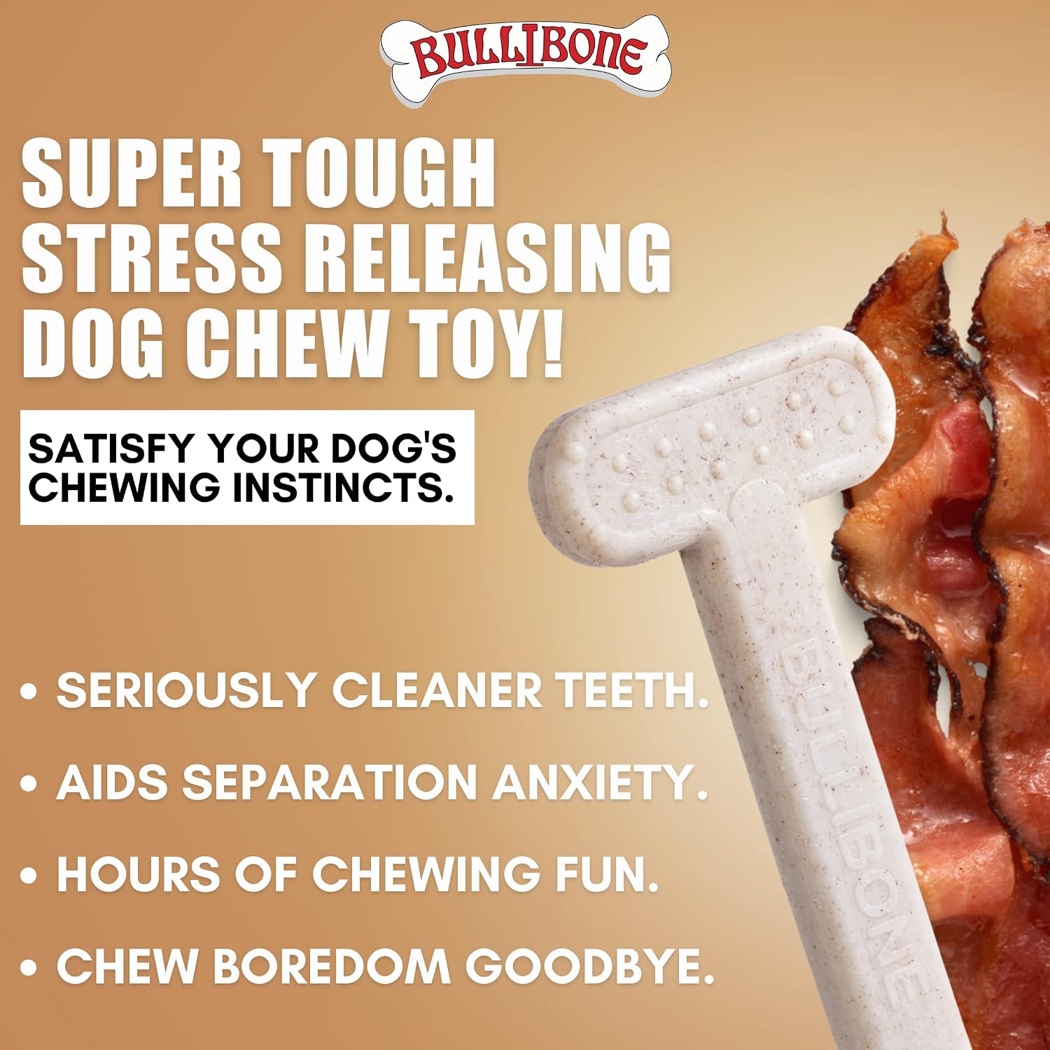 Bullibone Nylon Dog Chew Toy for Aggressive Chewers - Dental Hygiene Bone with Beef Flavor, Durable Tough Chew Toys for Small Dogs, Indestructible Dog Bone - 3 Pack