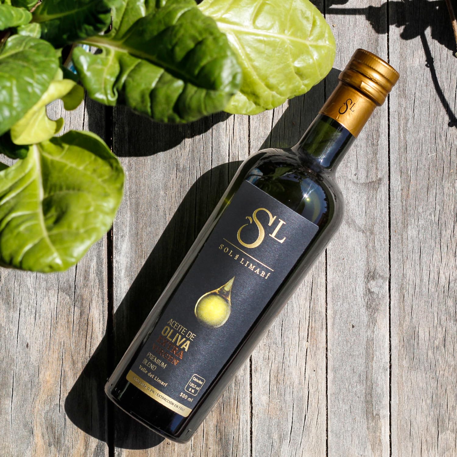 Sol del Limari - Extra Virgin Olive Oil with Polyphenol Rich - Premium Blend - First Cold Press - Aceite de Oliva Extra Virgen (16.9 Fl Oz)