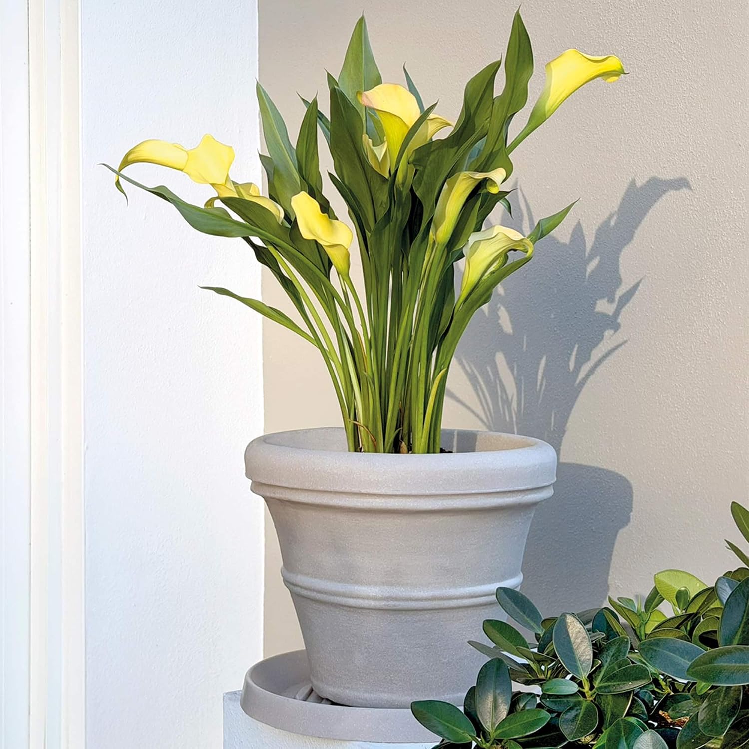 Crescent Garden Brunello Classic Gray Rolled Rim Planter Pot, Lightweight Indoor/Outdoor Weather-Safe Round Plant Pot, 27''W (Weathered Concrete)