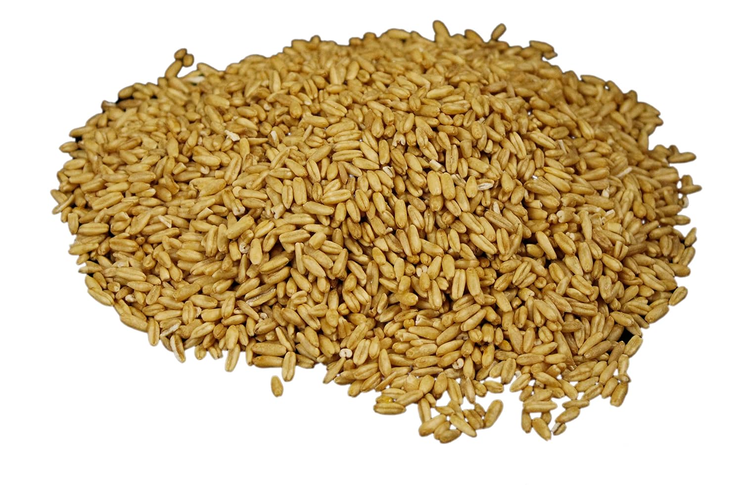 Wheatland Oat Groats • 20 Pound Bucket with Mylar lining • USA Grown • Non-GMO • Lab Tested • Sproutable • Whole Grain • Emergency