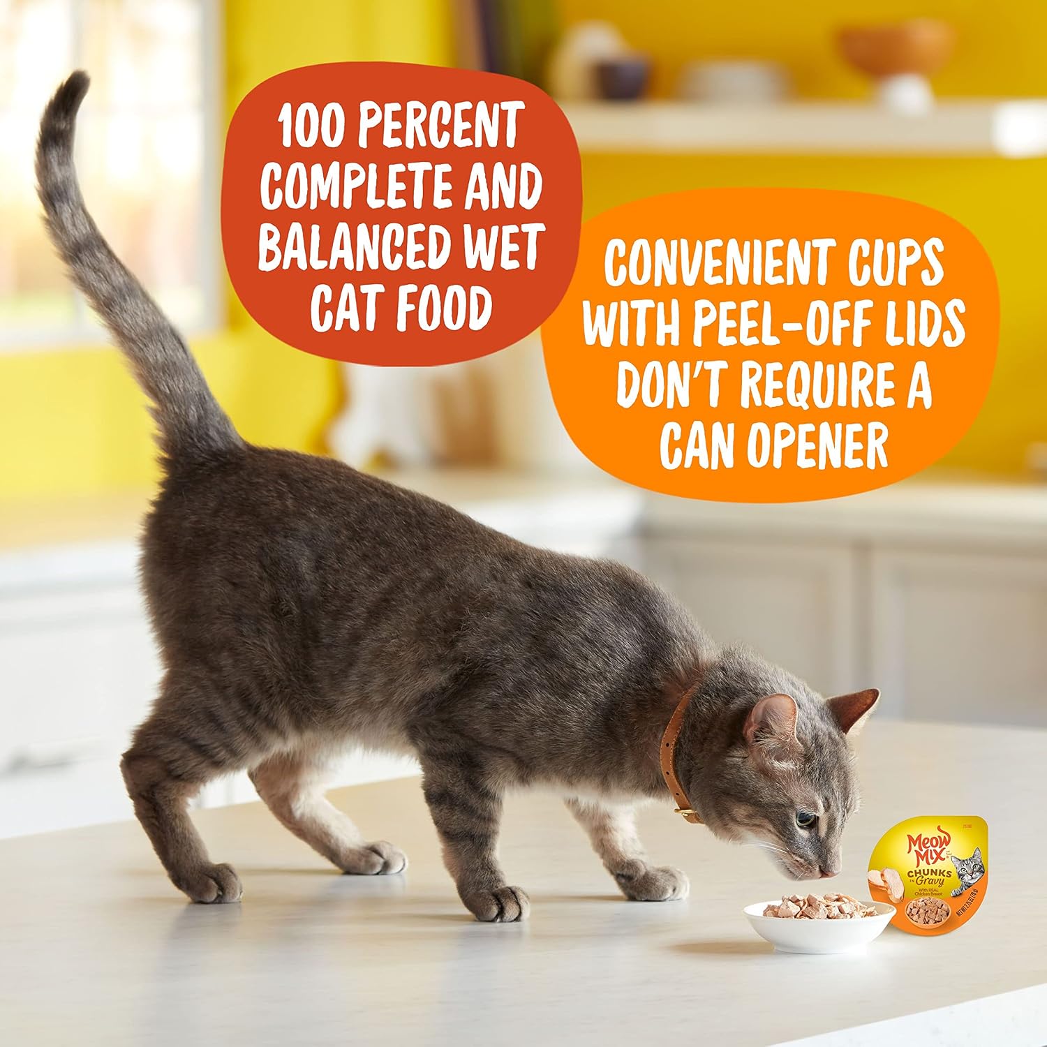 Meow Mix Seafood Favorites, Wet Food Variety Pack, 12 Cups