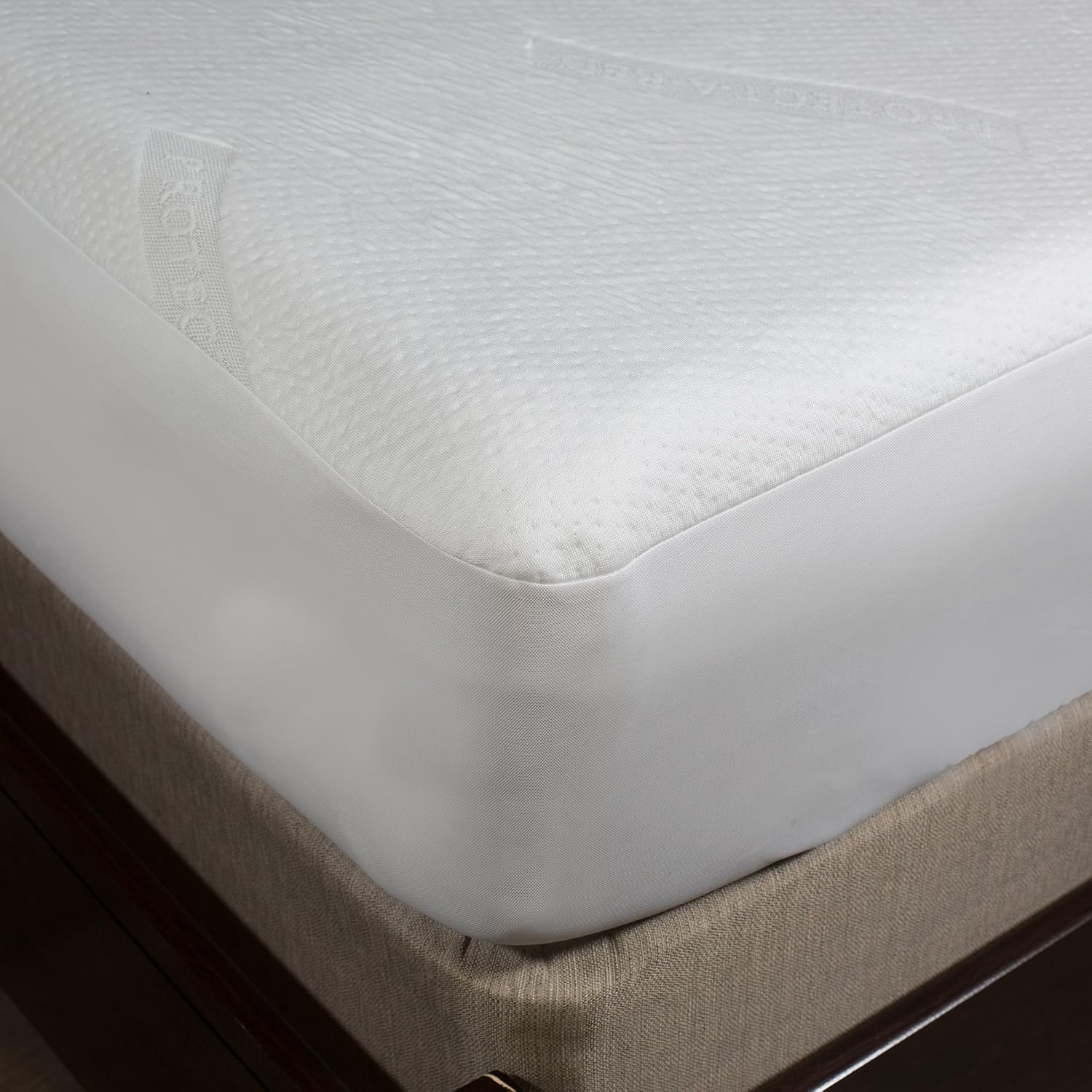 Protect-A-Bed Cloud Extra-Soft Tencel Waterproof Mattress Protector, Queen